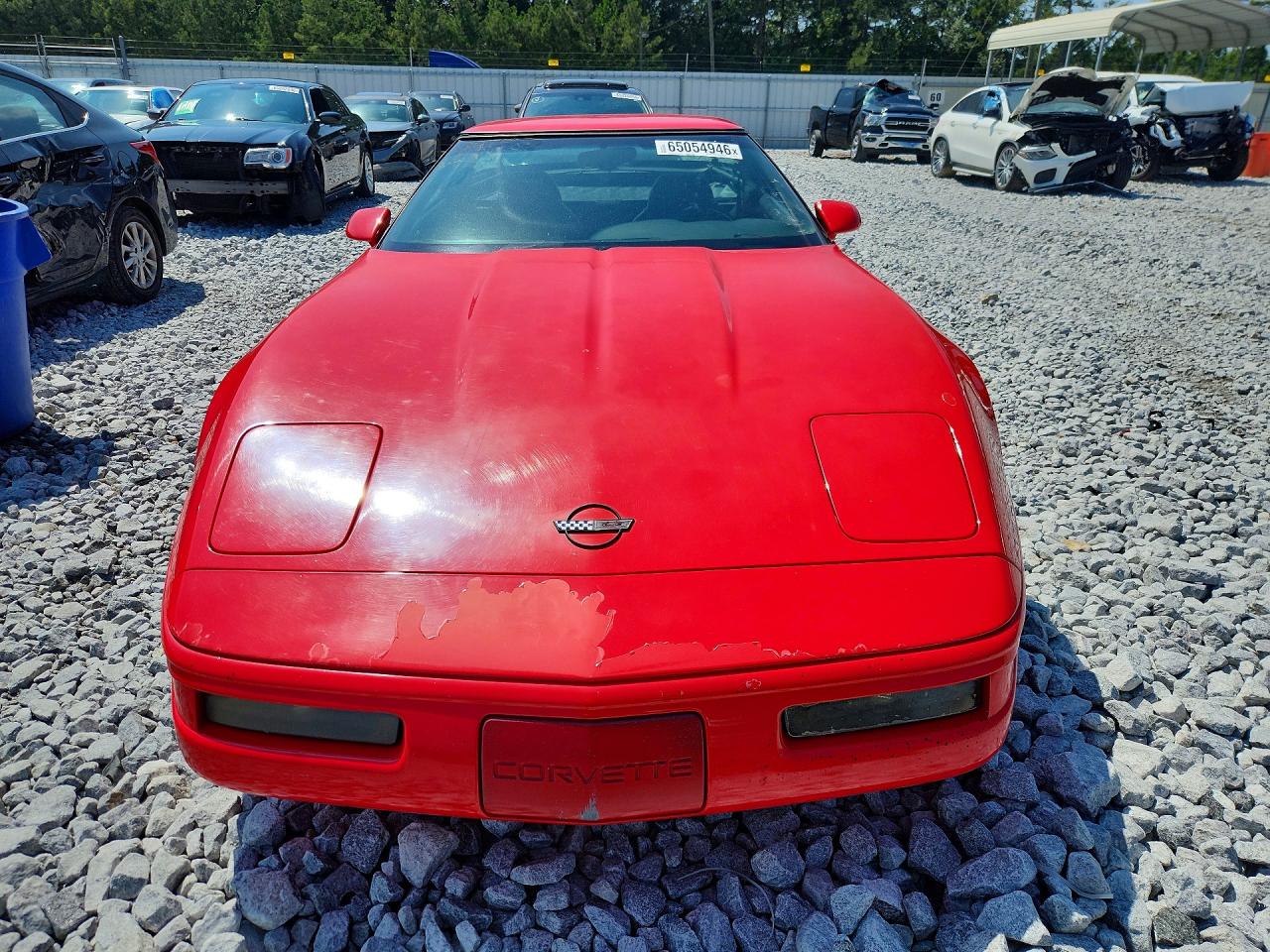 1996 Chevrolet Corvette Red vin: 1G1YY22P7T5100193