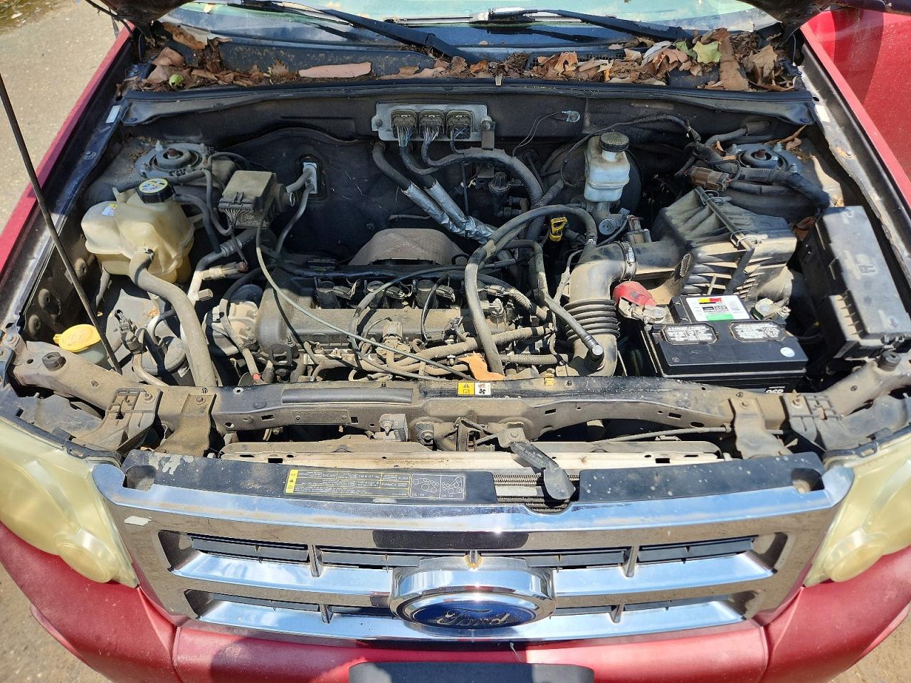 2008 Ford Escape Xlt Красный vin: 1FMCU03Z28KD76643