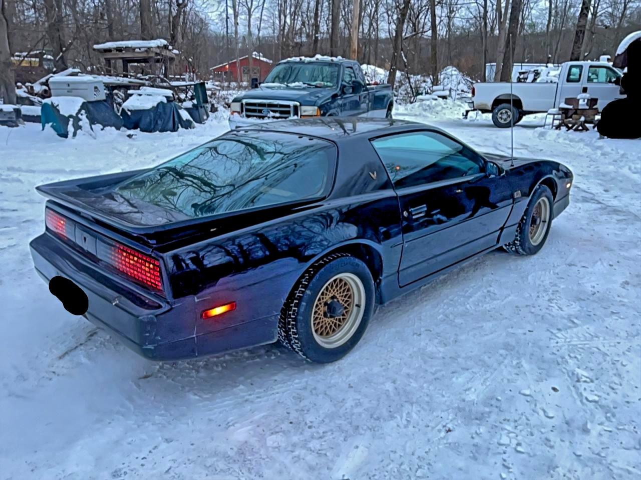 1988 Pontiac Firebird Trans Am Black vin: 1G2FW218XJL246566