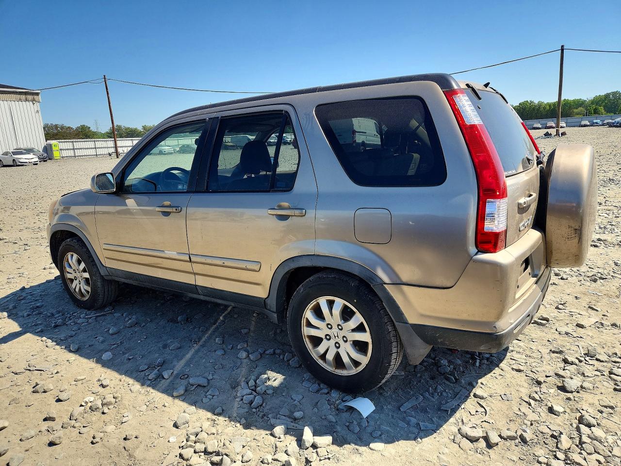 2006 Honda Cr-v Se Beige vin: JHLRD78966C034106