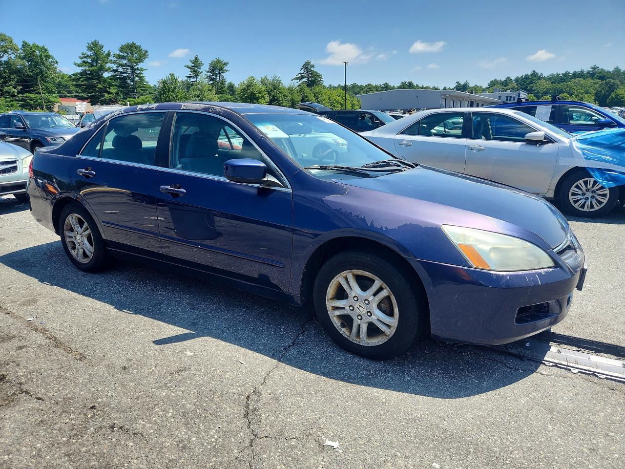 2006 Honda Accord Se Blue vin: 1HGCM56316A173790