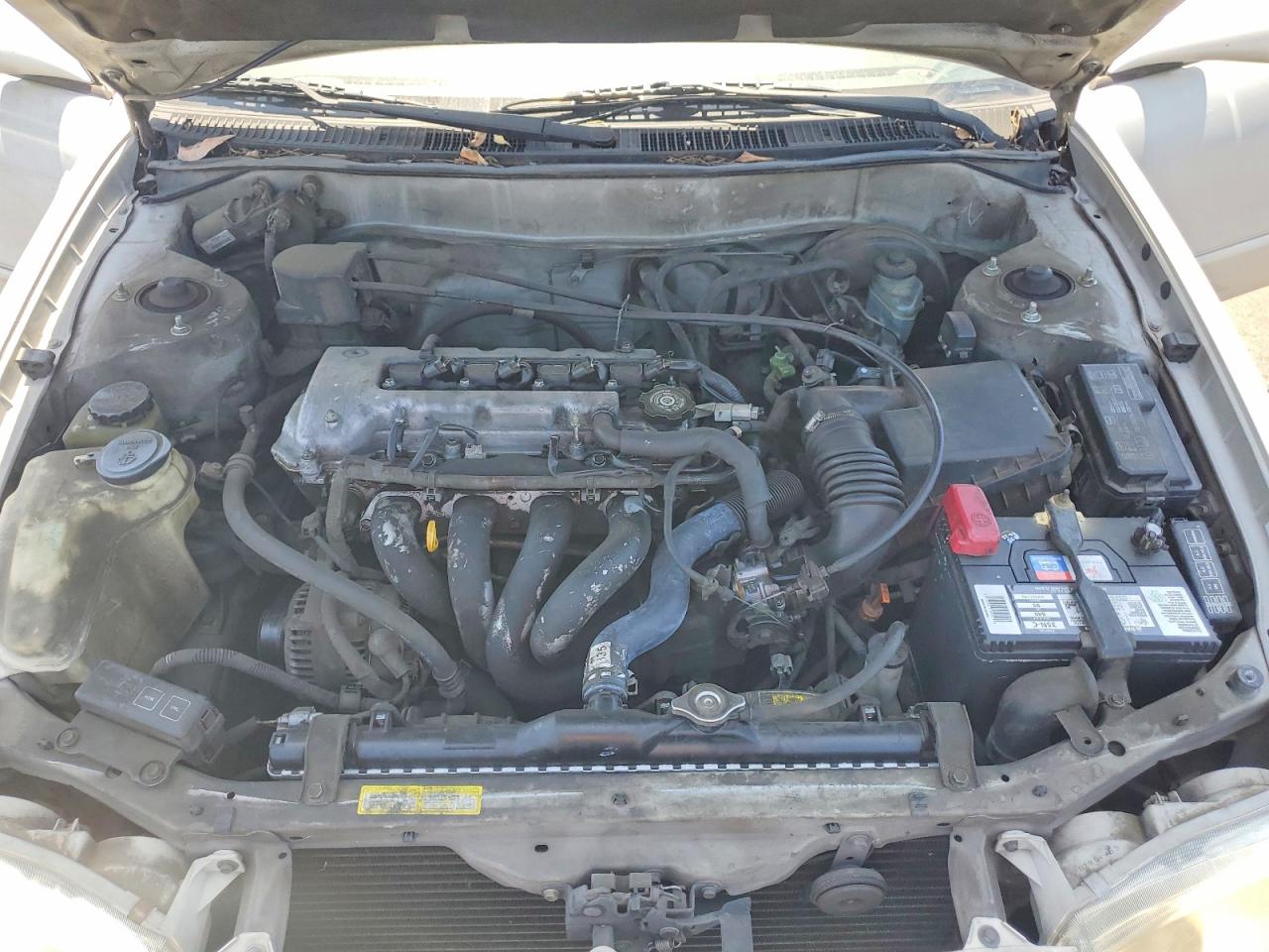 2001 Toyota Corolla S Серебряный vin: 1NXBR12E81Z524497