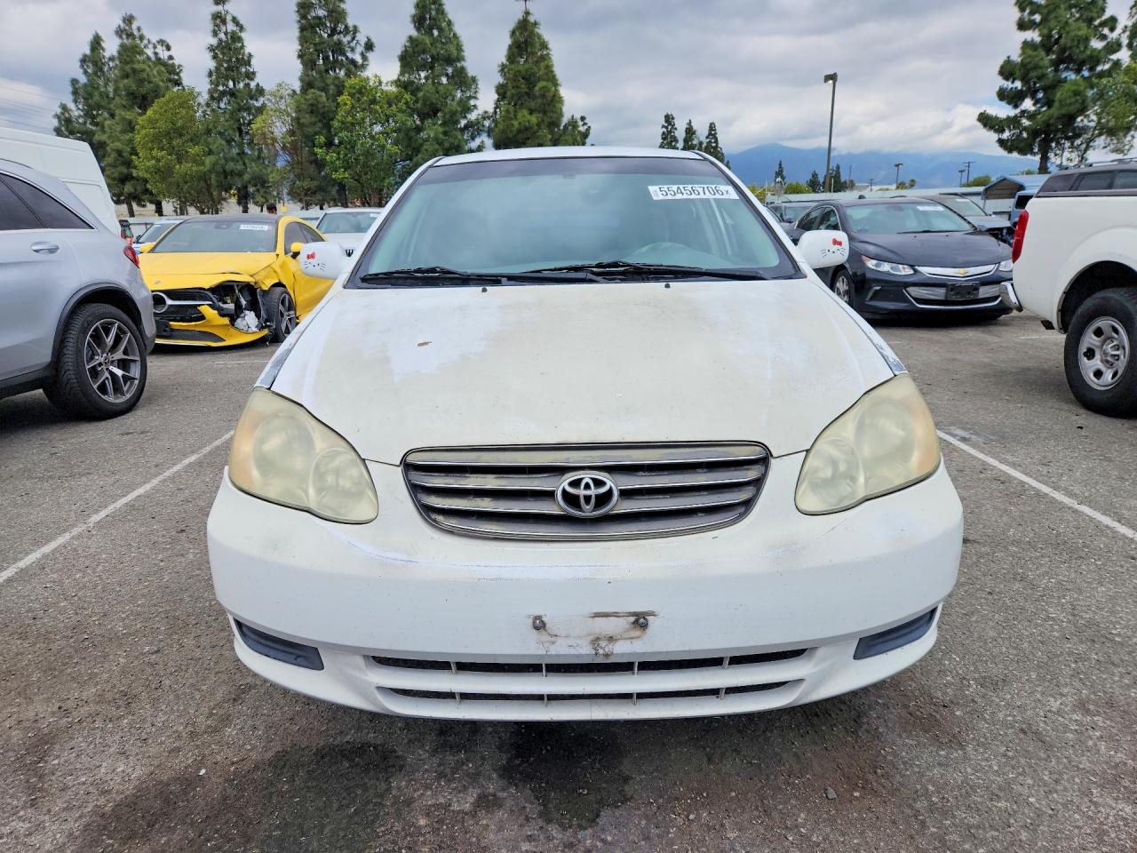 2003 Toyota Corolla Le White vin: 1NXBR32EX3Z026977