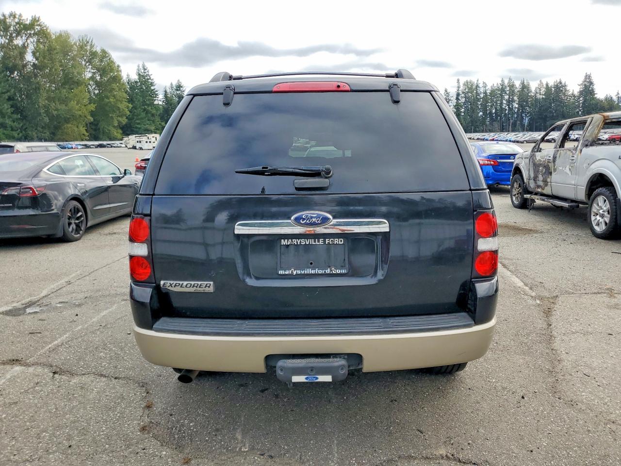 2010 Ford Explorer Eddie Bauer Двухцветный vin: 1FMEU7EE7AUA32084