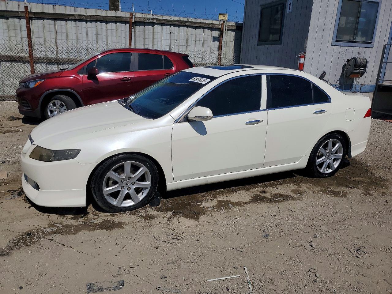 2004 Acura Tsx White vin: JH4CL96944C009138