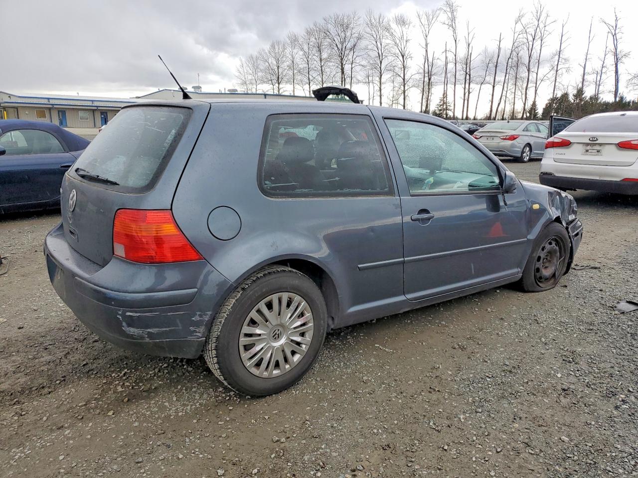 2004 Volkswagen Golf Gl Gray vin: 9BWBL61J944005597