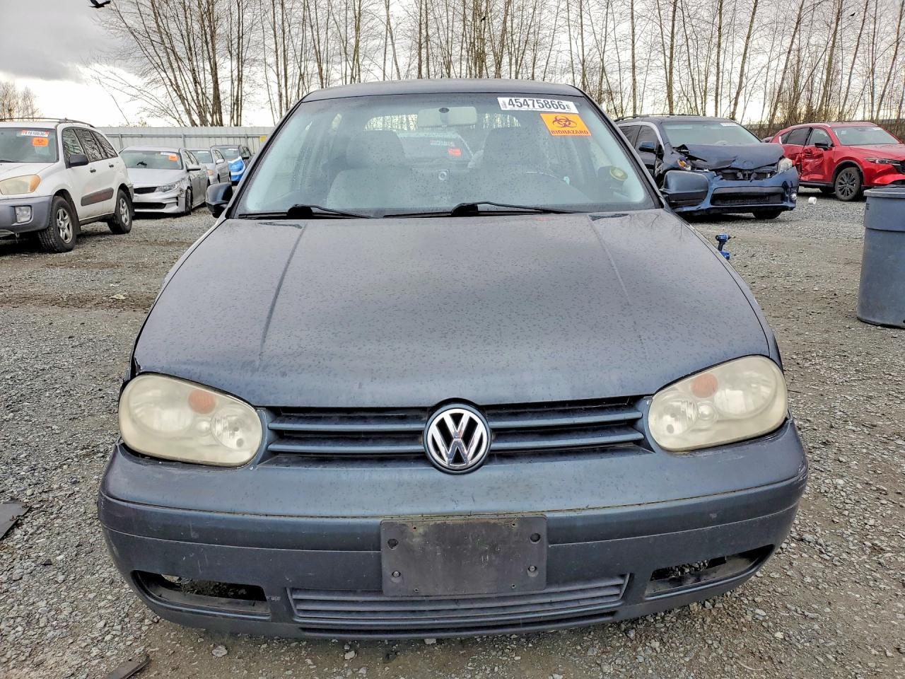 2004 Volkswagen Golf Gl Gray vin: 9BWBL61J944005597