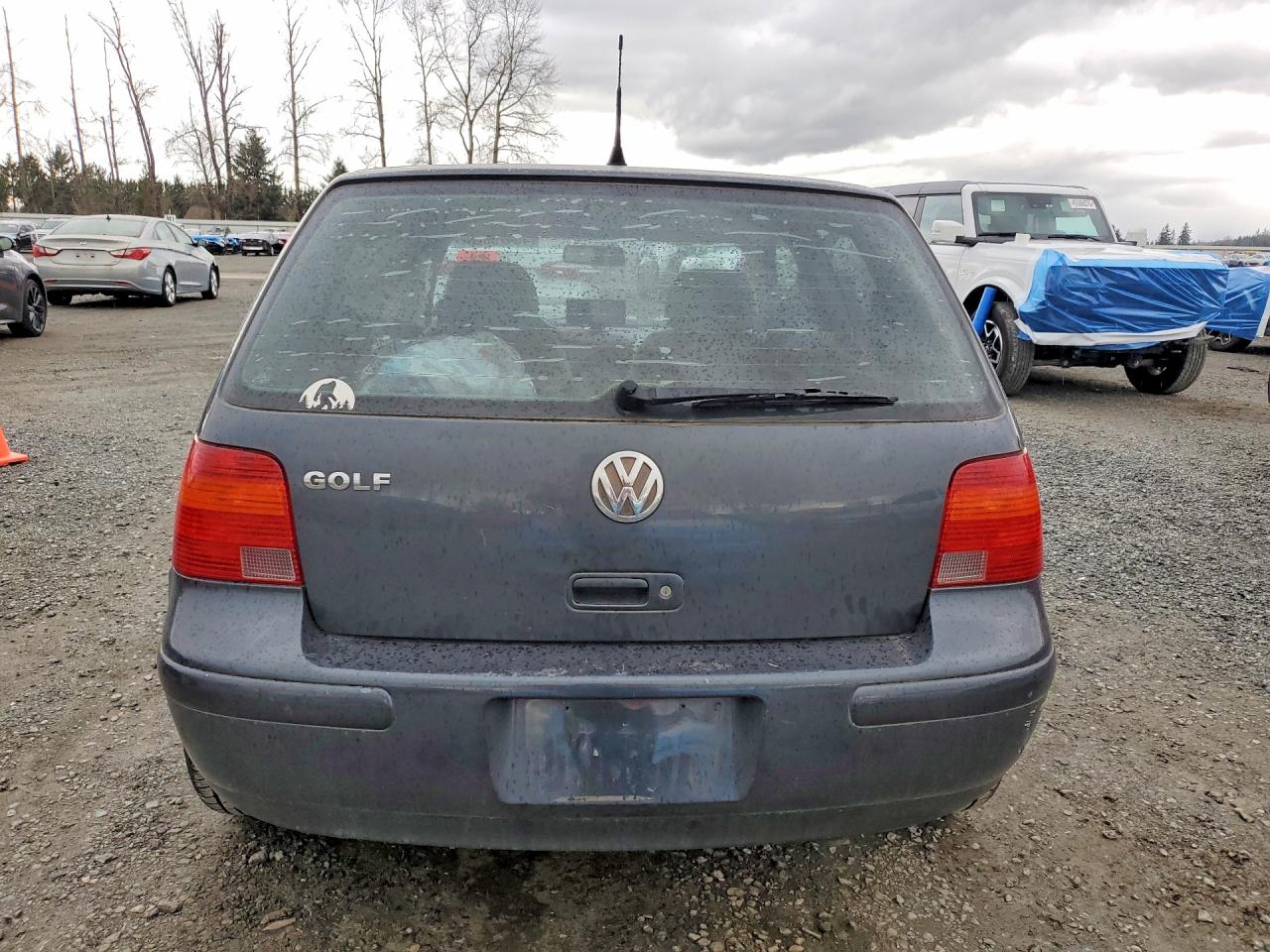 2004 Volkswagen Golf Gl Gray vin: 9BWBL61J944005597