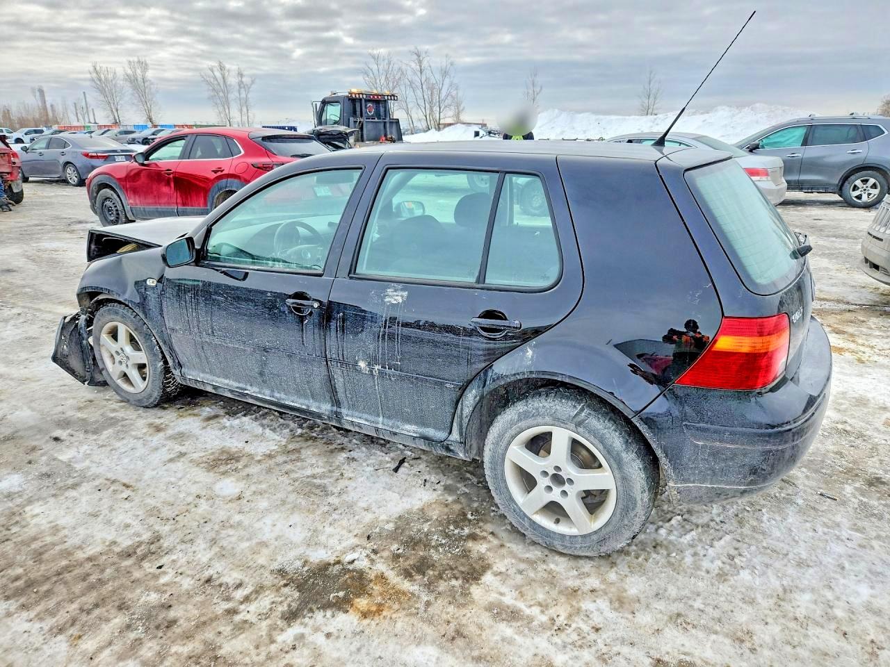 2004 Volkswagen Golf Gls Black vin: 9BWGL21J044039362