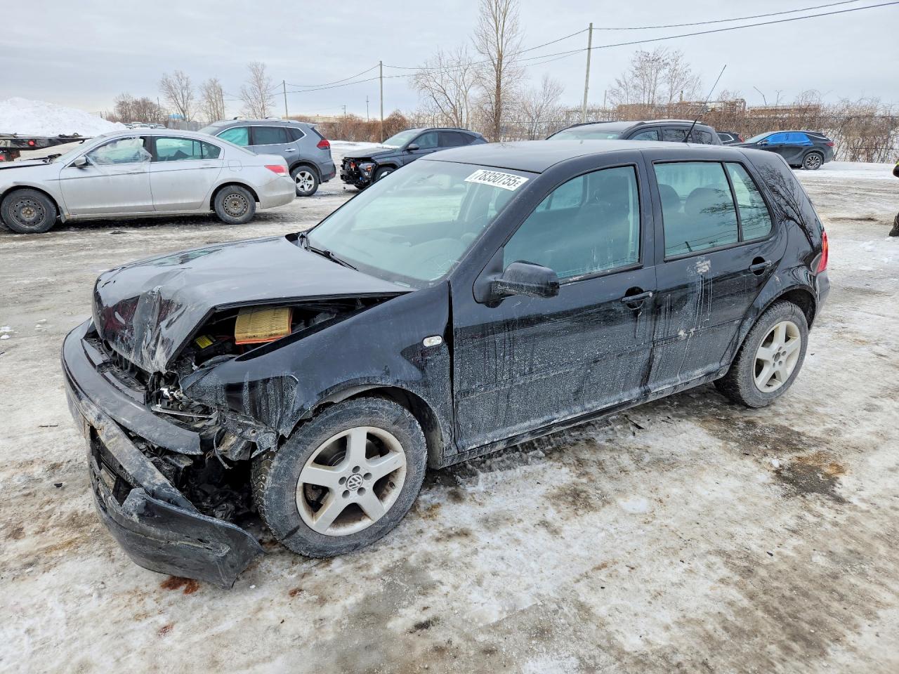 2004 Volkswagen Golf Gls Black vin: 9BWGL21J044039362