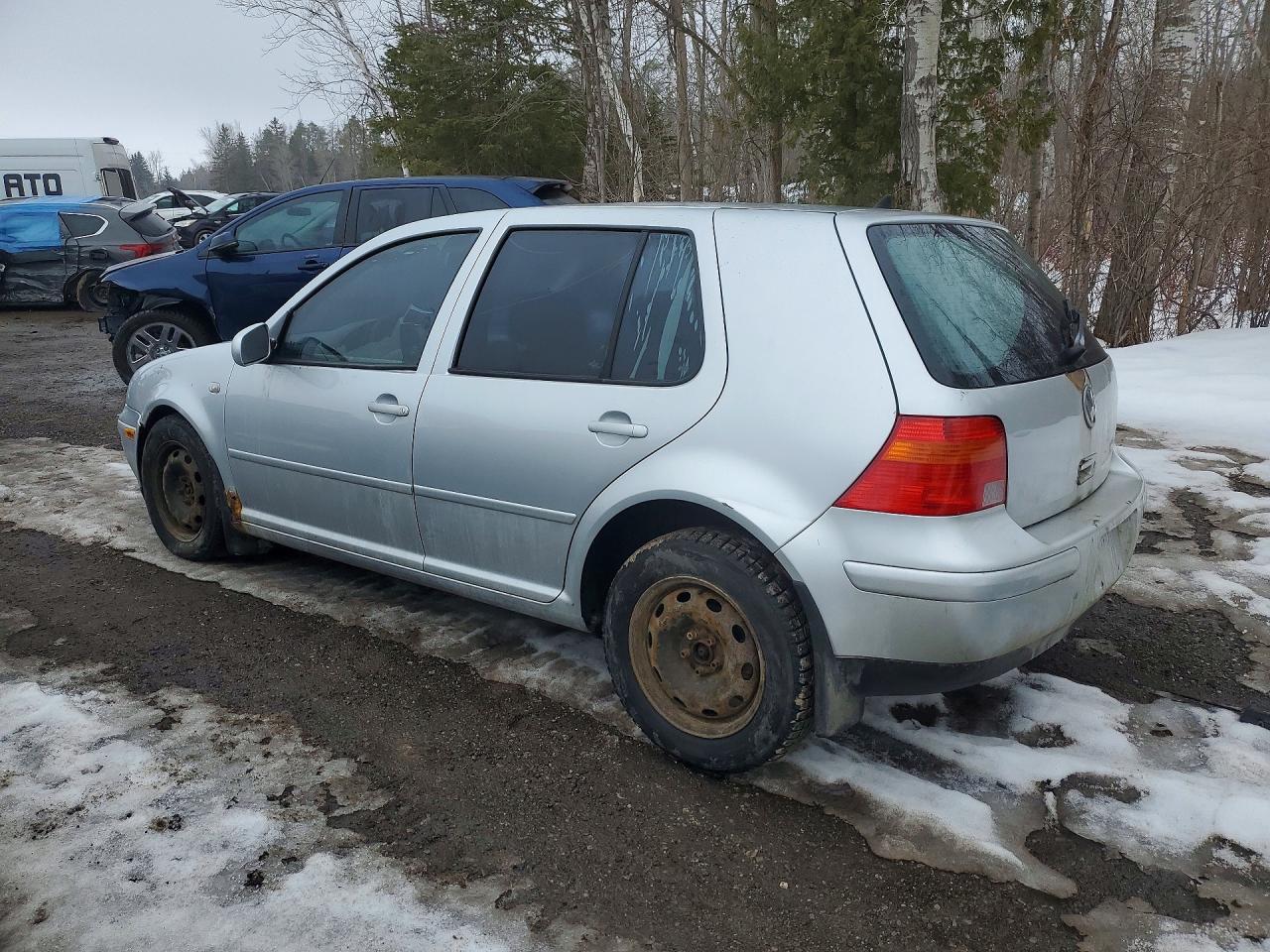 2004 Volkswagen Golf Gls Silver vin: 9BWGL21J944028943