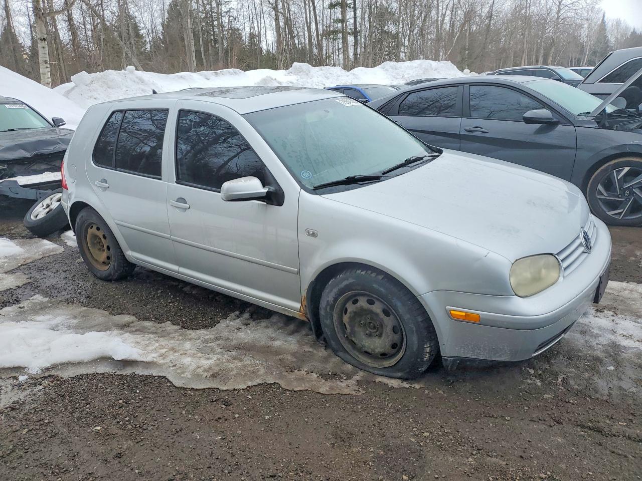 2004 Volkswagen Golf Gls Silver vin: 9BWGL21J944028943