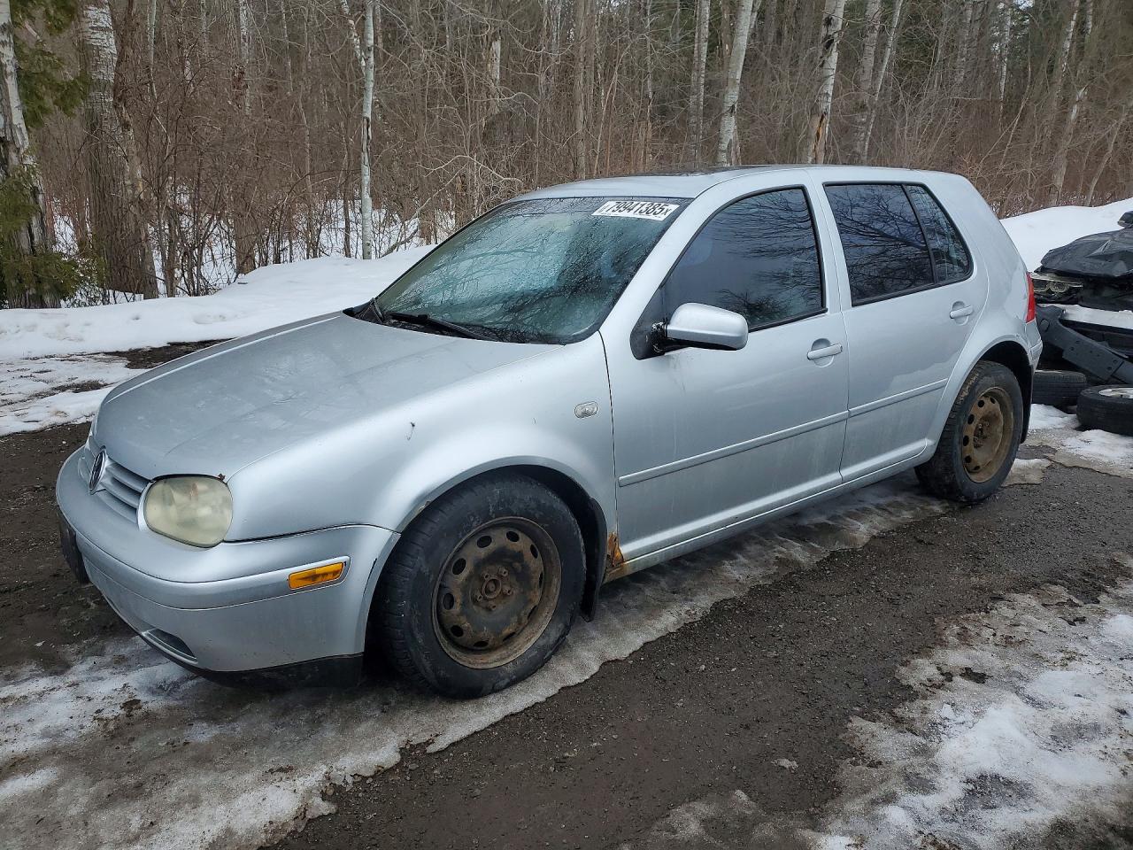 2004 Volkswagen Golf Gls Silver vin: 9BWGL21J944028943