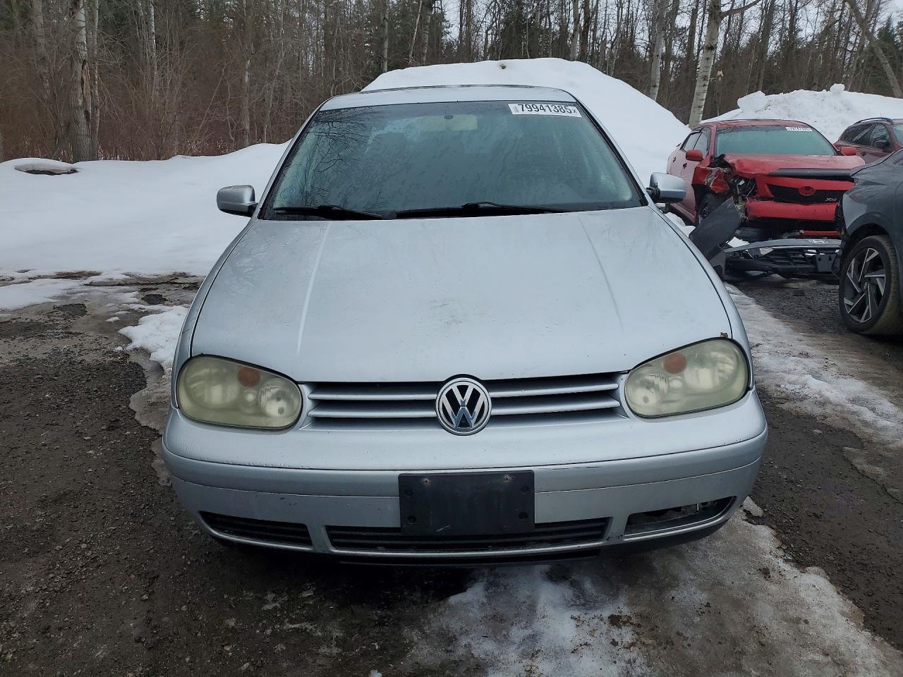 2004 Volkswagen Golf Gls Silver vin: 9BWGL21J944028943