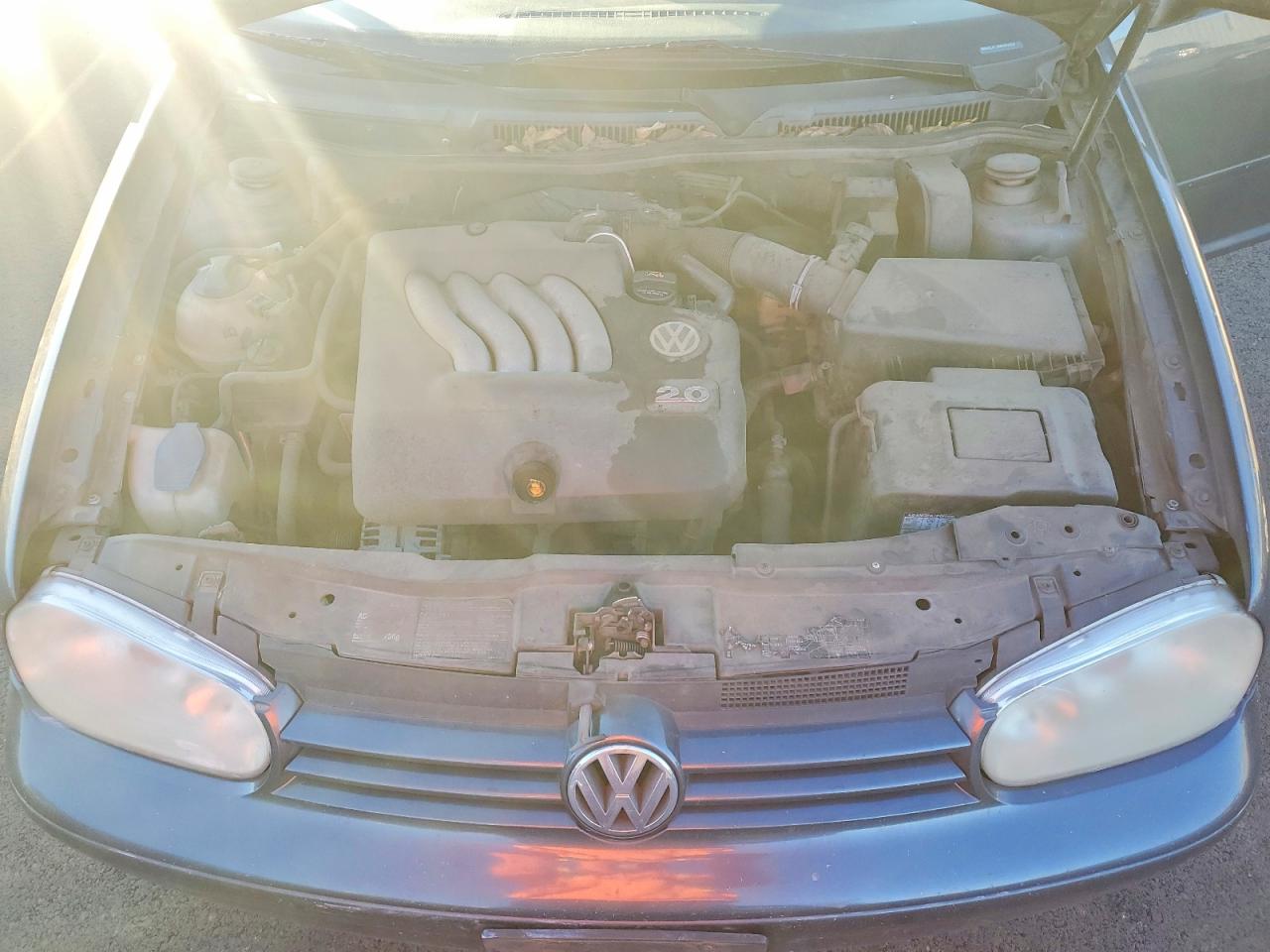 2004 Volkswagen Golf Gls Blue vin: 9BWGL61J044004358
