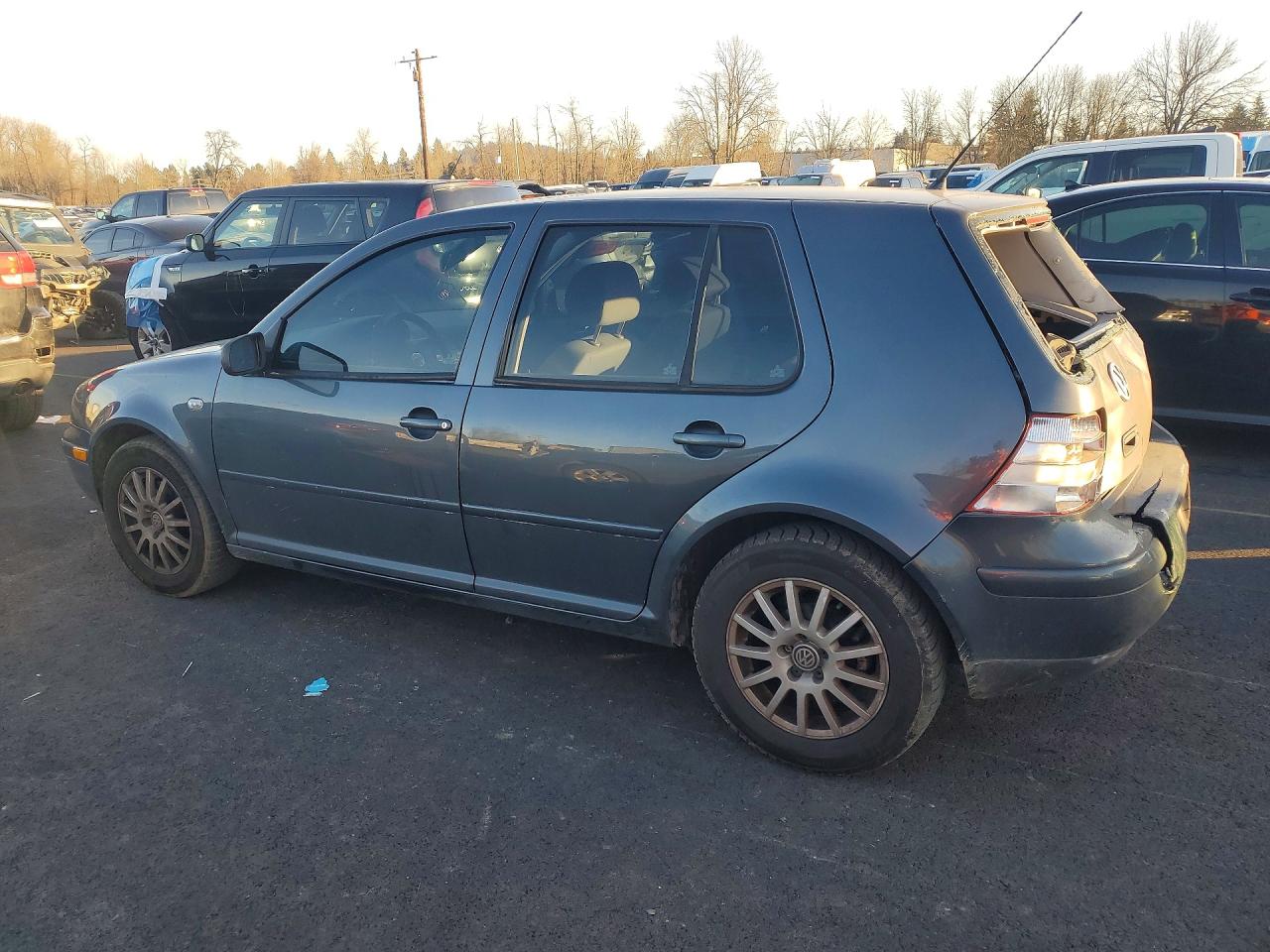 2004 Volkswagen Golf Gls Blue vin: 9BWGL61J044004358