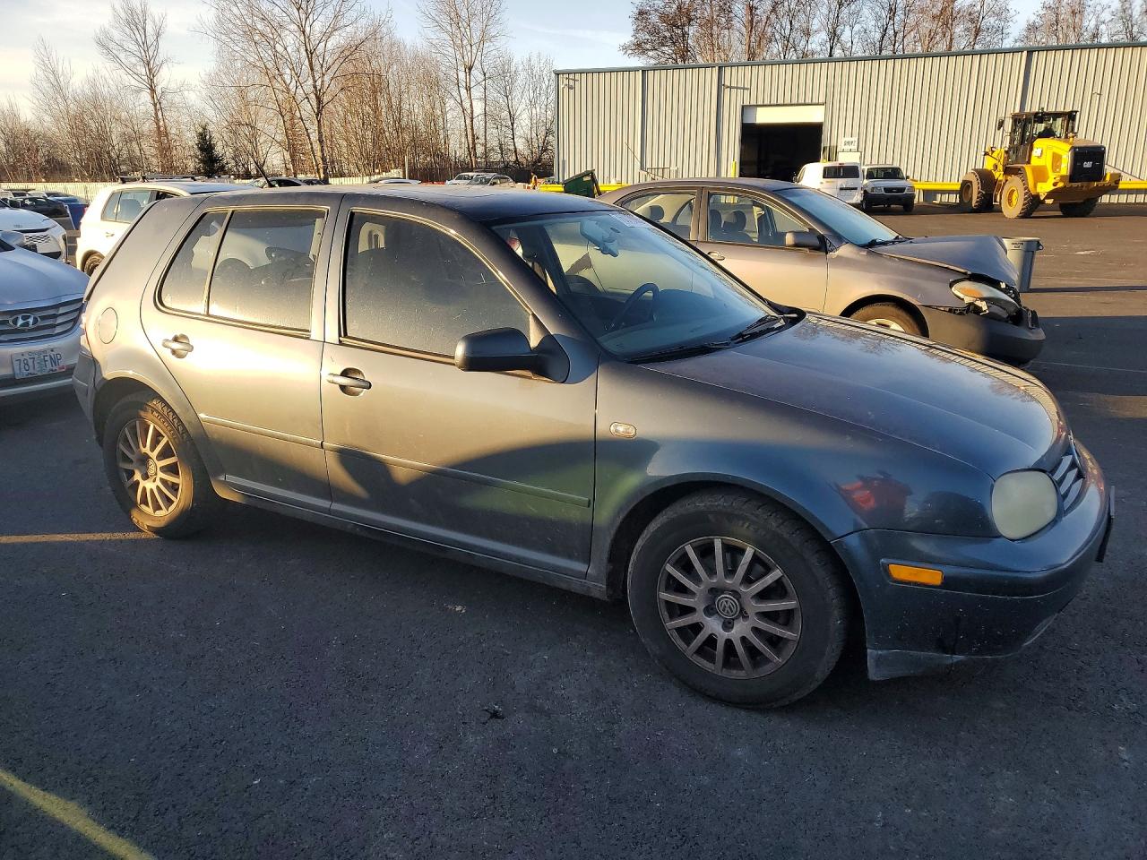 2004 Volkswagen Golf Gls Blue vin: 9BWGL61J044004358