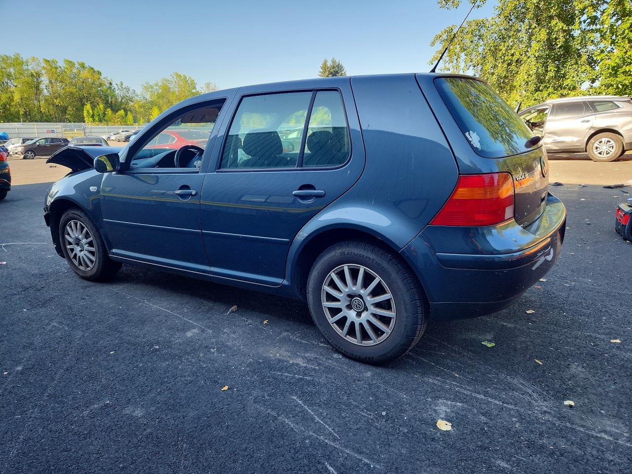 2004 Volkswagen Golf Gls Gray vin: 9BWGL61J144004546