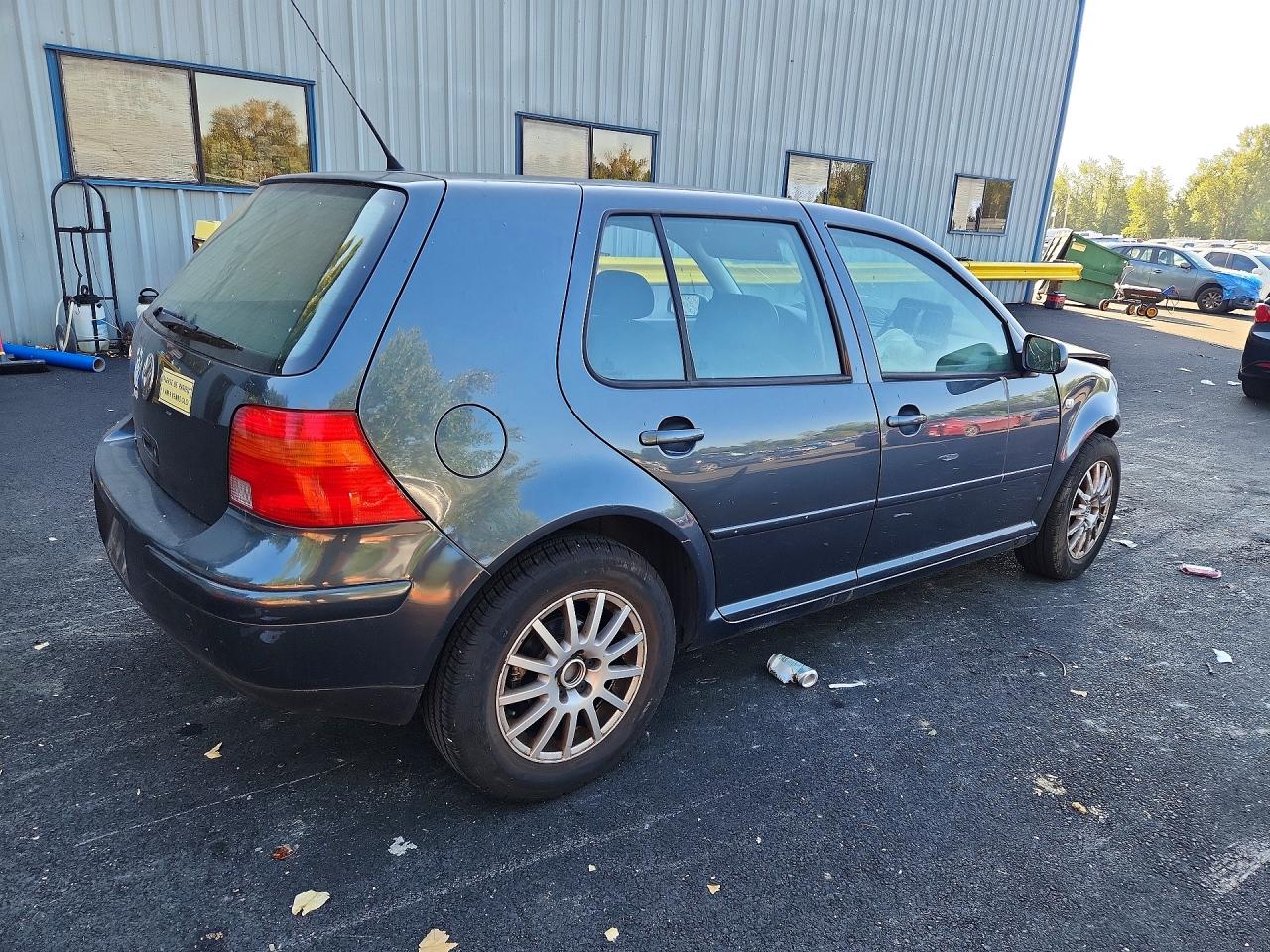 2004 Volkswagen Golf Gls Gray vin: 9BWGL61J144004546