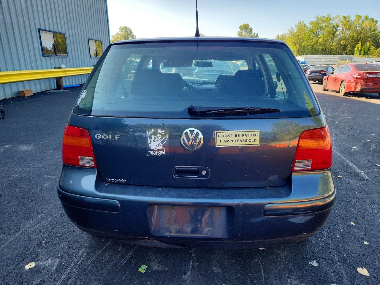 2004 Volkswagen Golf Gls Gray vin: 9BWGL61J144004546