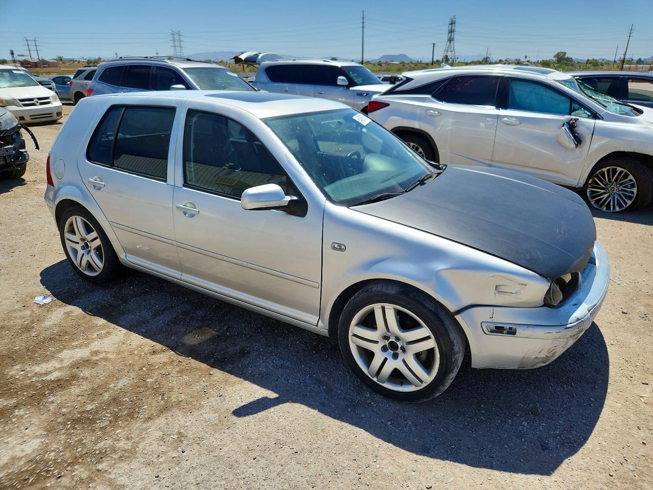 2006 Volkswagen Golf Gls Gray vin: 9BWGL61J264012965