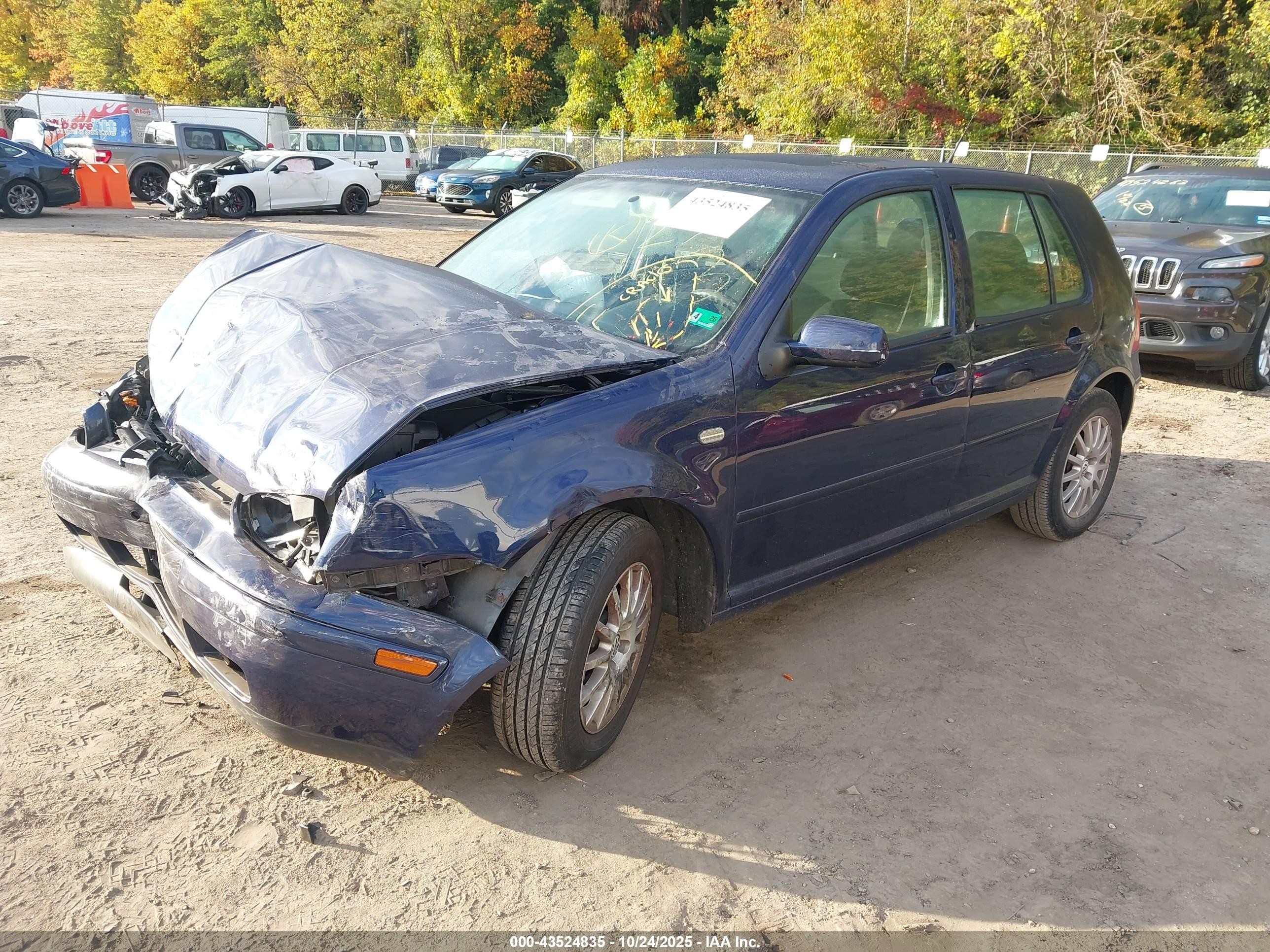 2004 Volkswagen Golf Gls 2.0l Blue vin: 9BWGL61J344004936