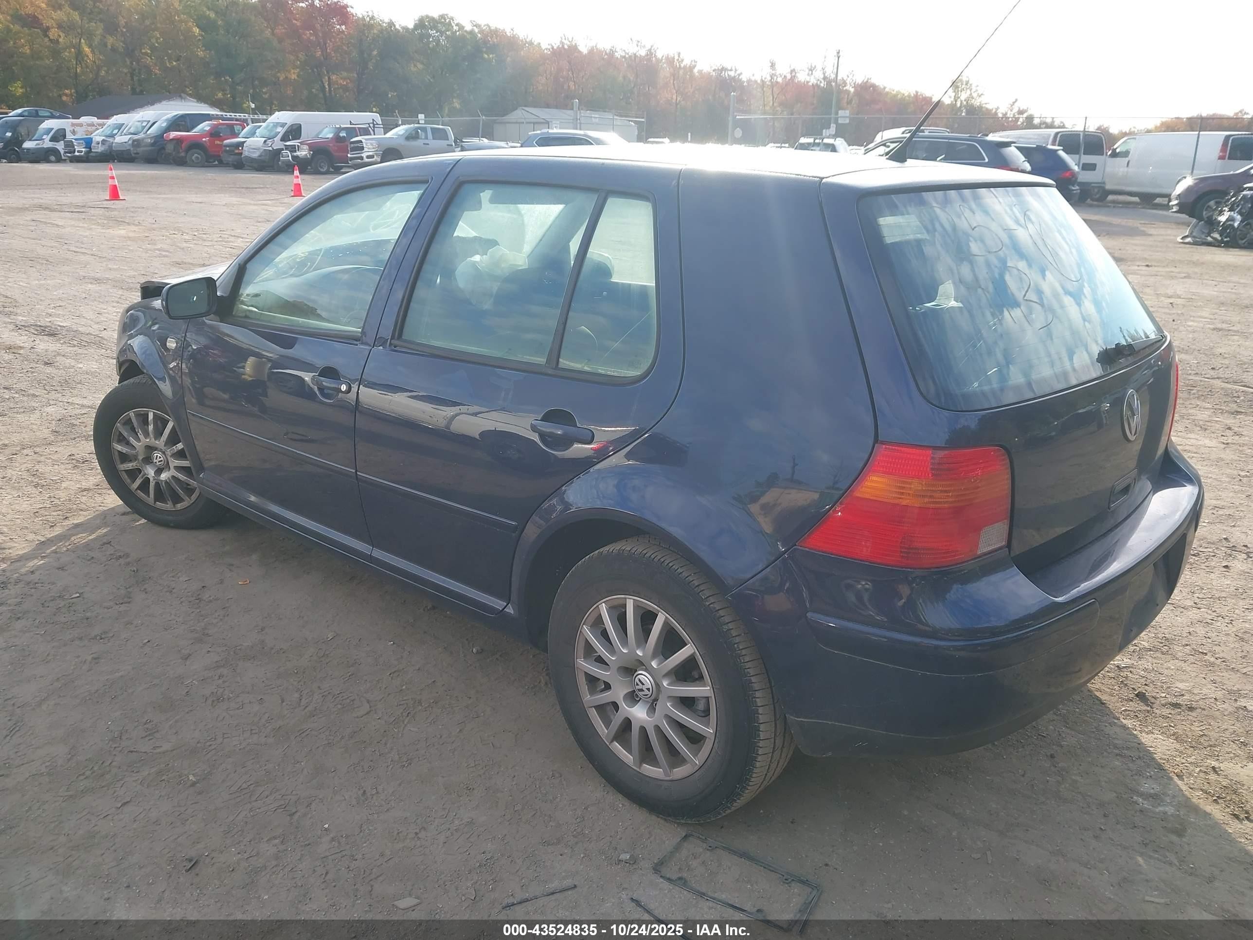 2004 Volkswagen Golf Gls 2.0l Blue vin: 9BWGL61J344004936