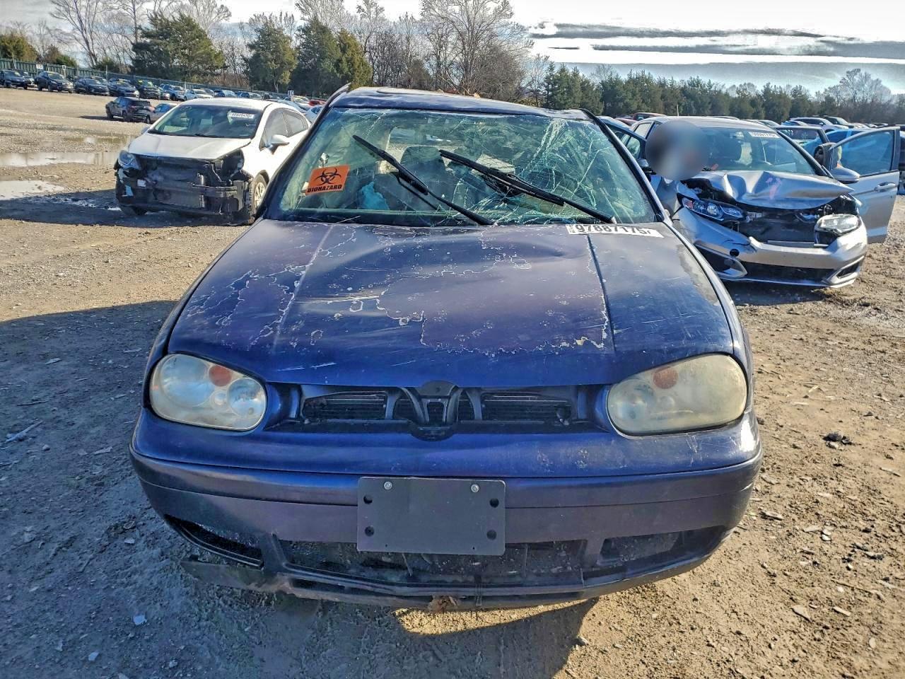 2004 Volkswagen Golf Gls Blue vin: 9BWGL61J444041557
