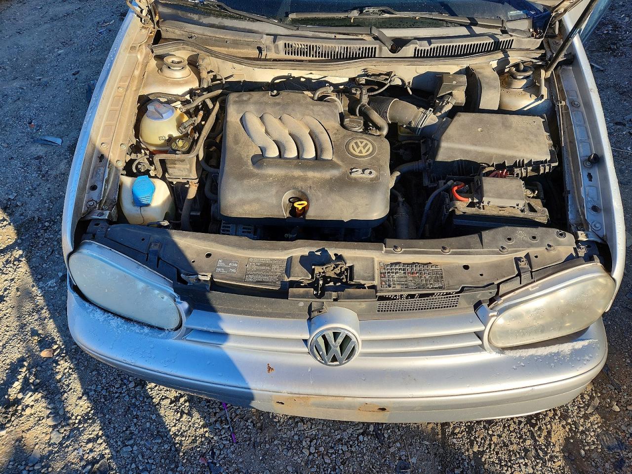 2004 Volkswagen Golf Gls Silver vin: 9BWGL61J744007838