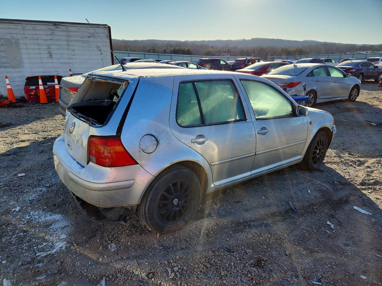 2004 Volkswagen Golf Gls Silver vin: 9BWGL61J744007838