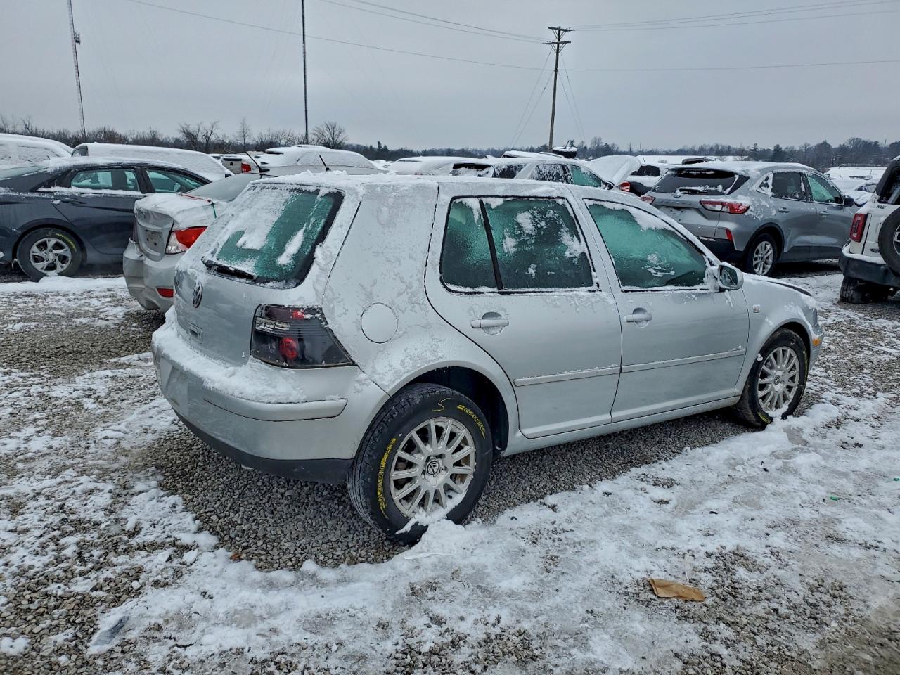 2004 Volkswagen Golf Gls Silver vin: 9BWGL61J844042968