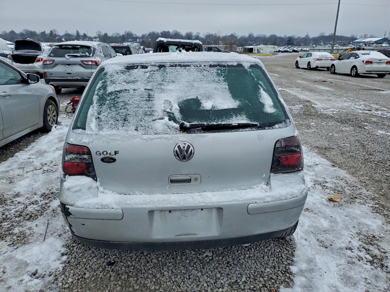 2004 Volkswagen Golf Gls Silver vin: 9BWGL61J844042968