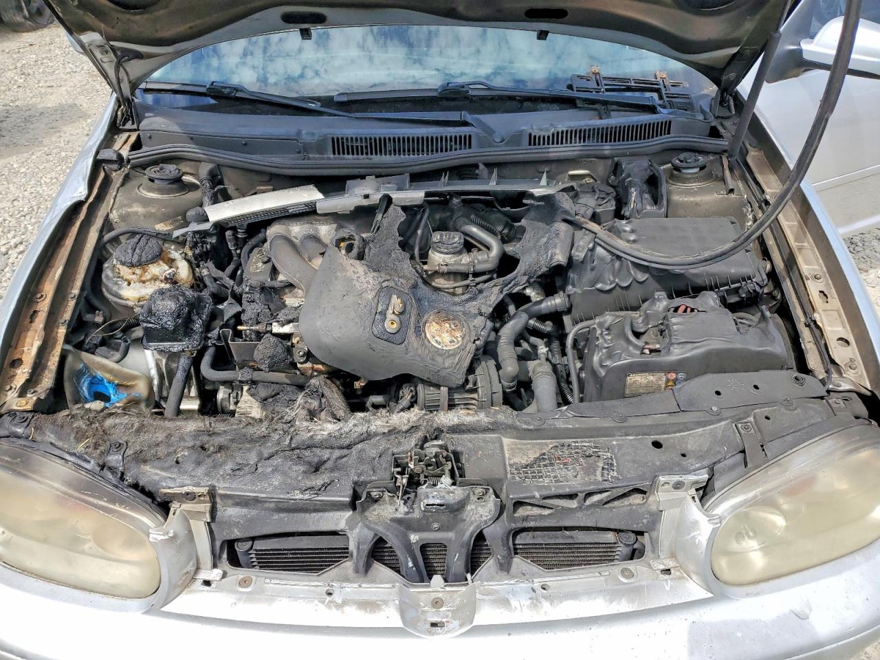 2005 Volkswagen Golf Gls Silver vin: 9BWGL61J854005601