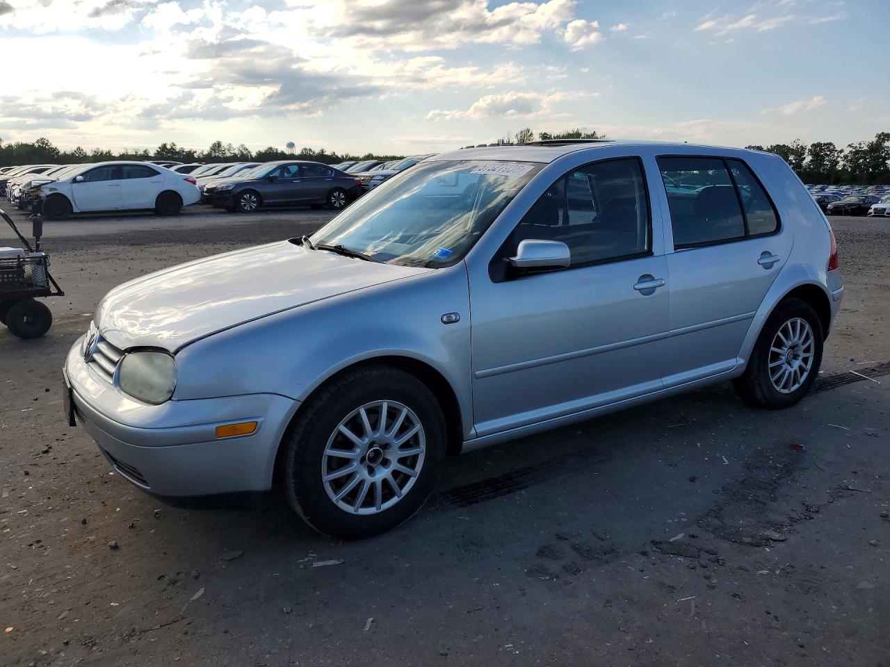 2004 Volkswagen Golf Gls Silver vin: 9BWGL61J944017772