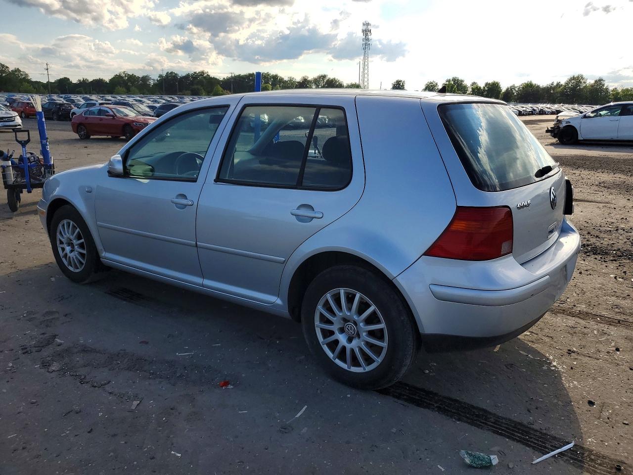 2004 Volkswagen Golf Gls Silver vin: 9BWGL61J944017772