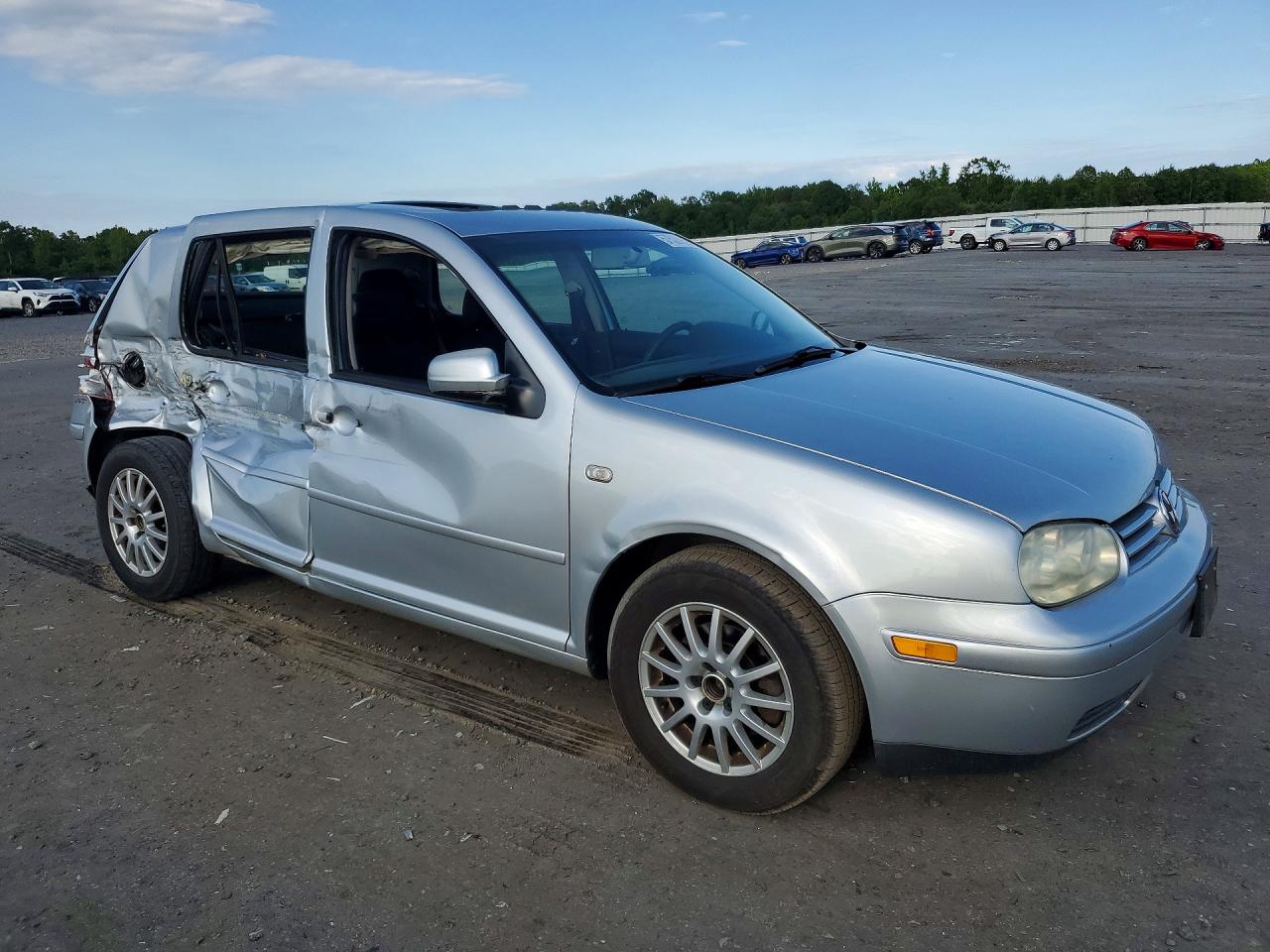 2004 Volkswagen Golf Gls Silver vin: 9BWGL61J944017772