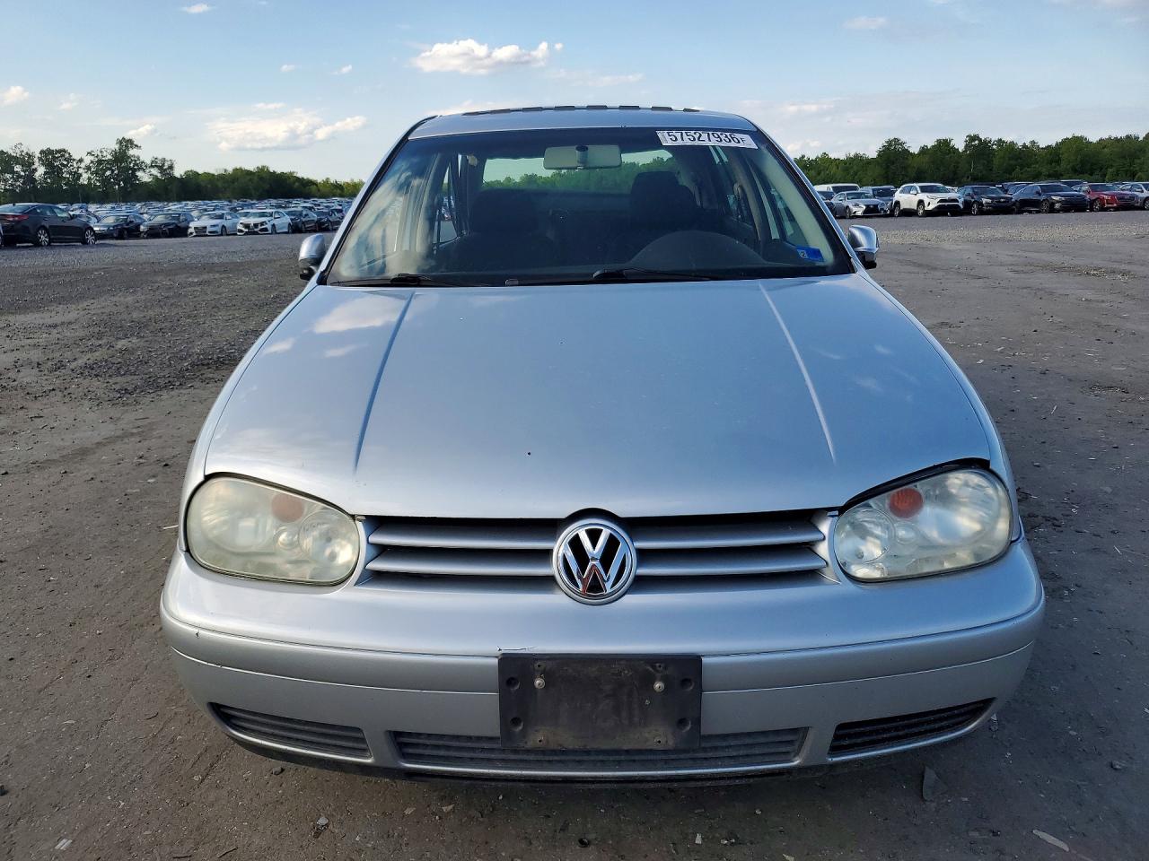 2004 Volkswagen Golf Gls Silver vin: 9BWGL61J944017772