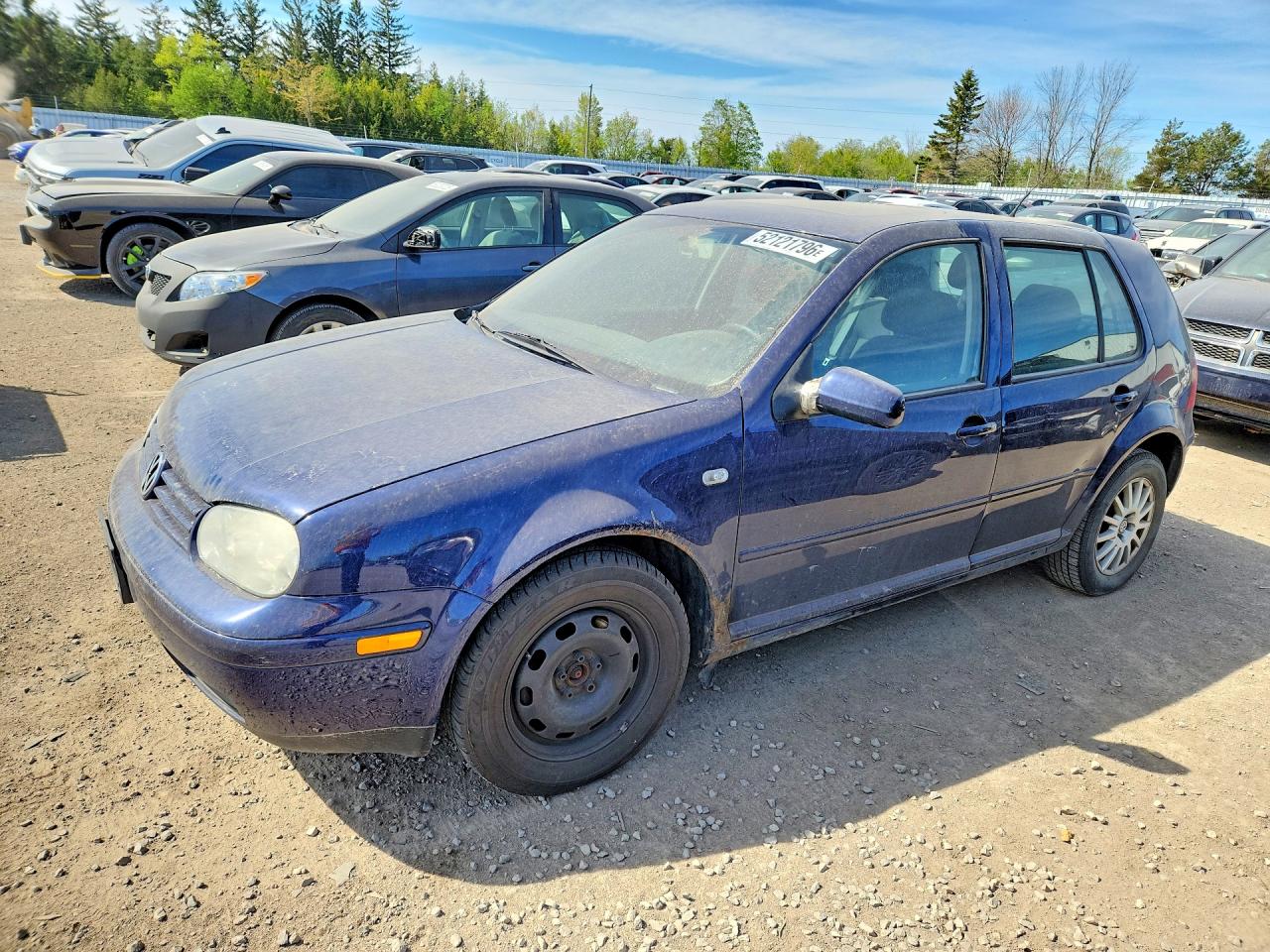 2003 Volkswagen Golf Gls Tdi Blue vin: 9BWGP21J734064715
