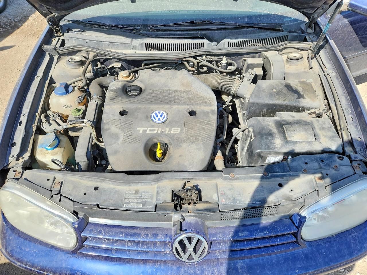 2003 Volkswagen Golf Gls Tdi Blue vin: 9BWGP21J734064715