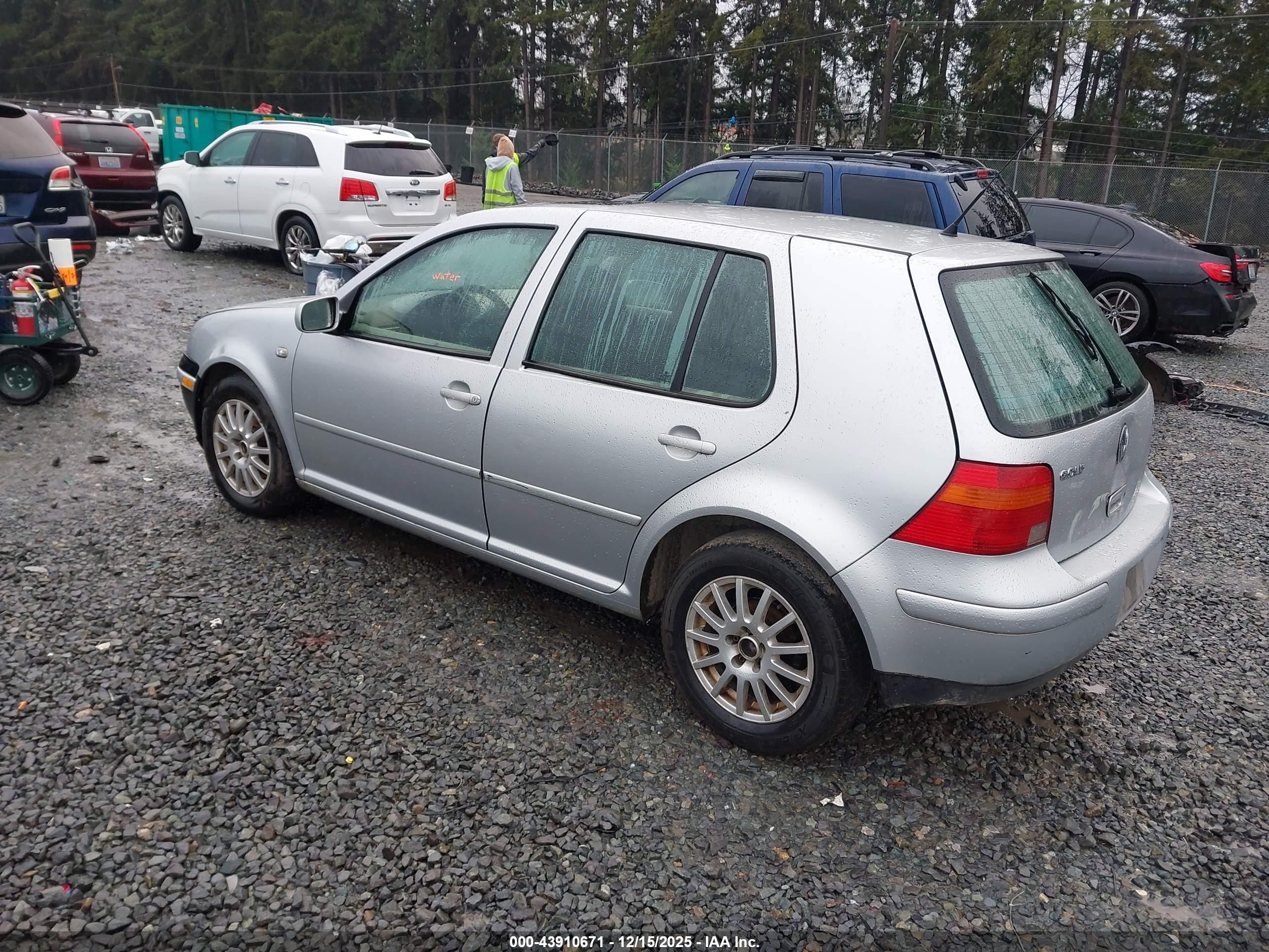 2003 Volkswagen Golf Gls Tdi Silver vin: 9BWGP61J634072215