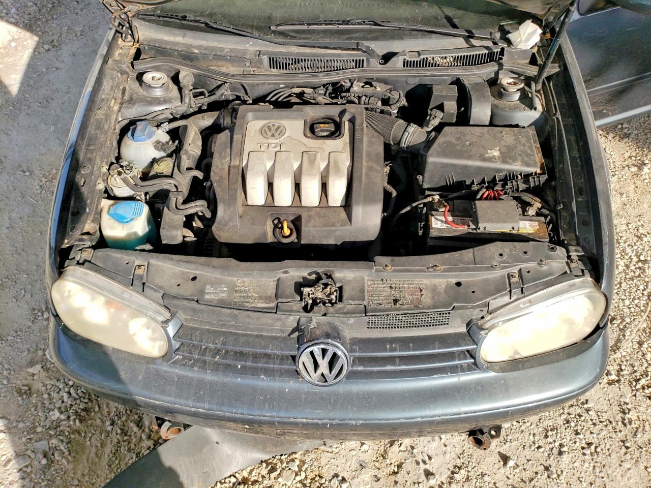 2004 Volkswagen Golf Gls Tdi Silver vin: 9BWGR61J644028808