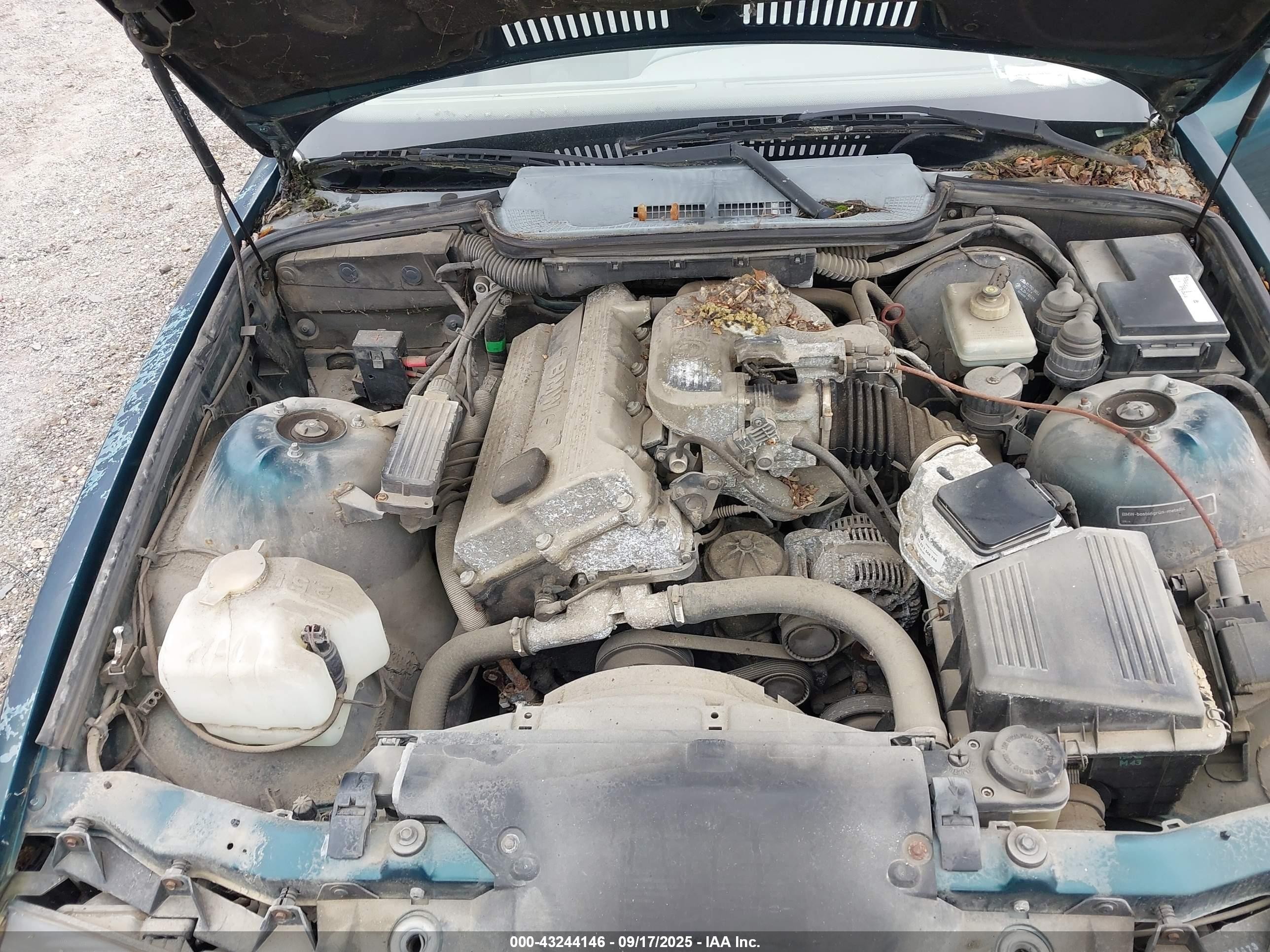 1995 Bmw 318i Ic Automatic Зеленый vin: ABK6326SED18620  