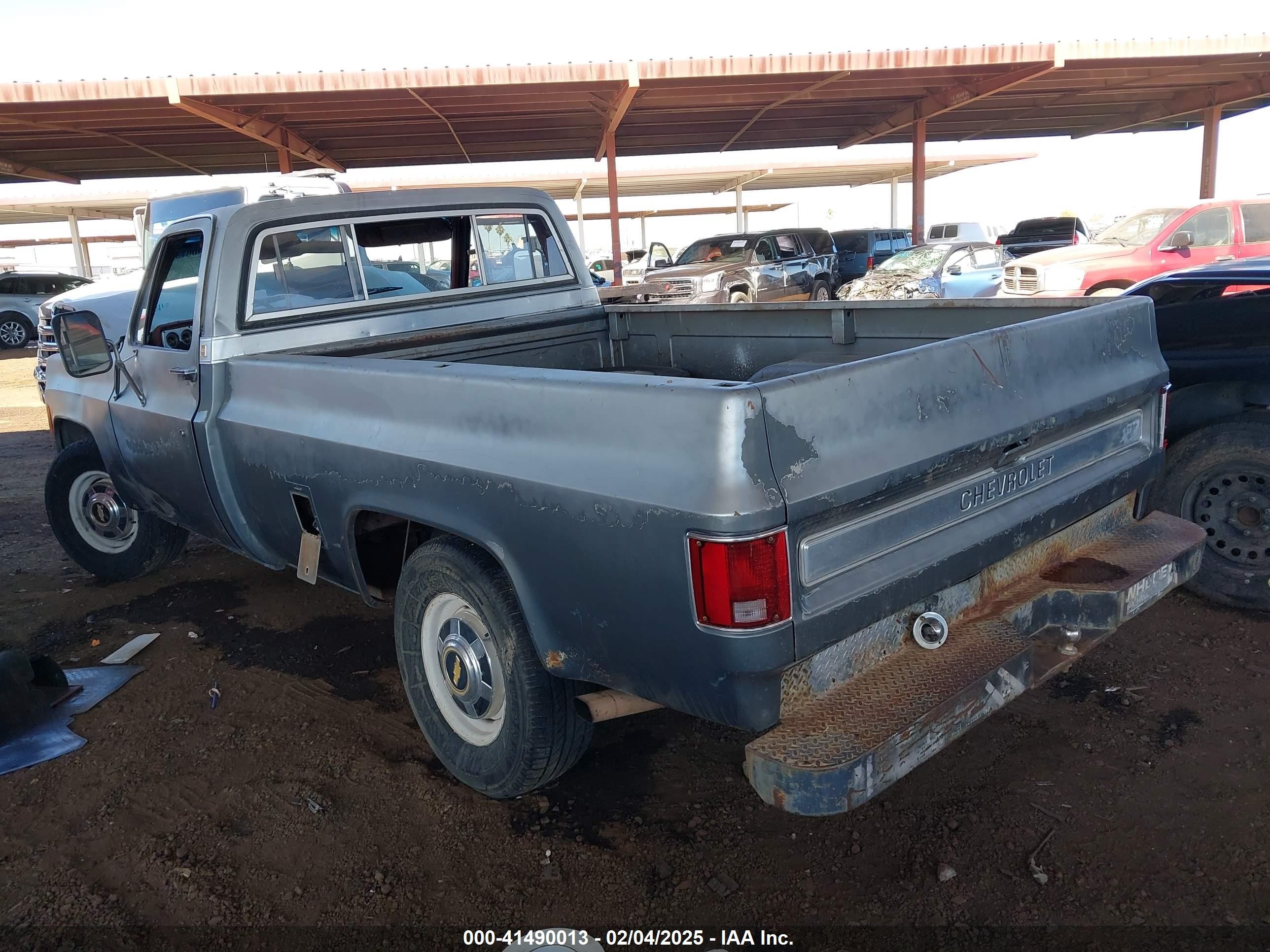 1976 Chevrolet C20 Серый vin: CCL246S213283