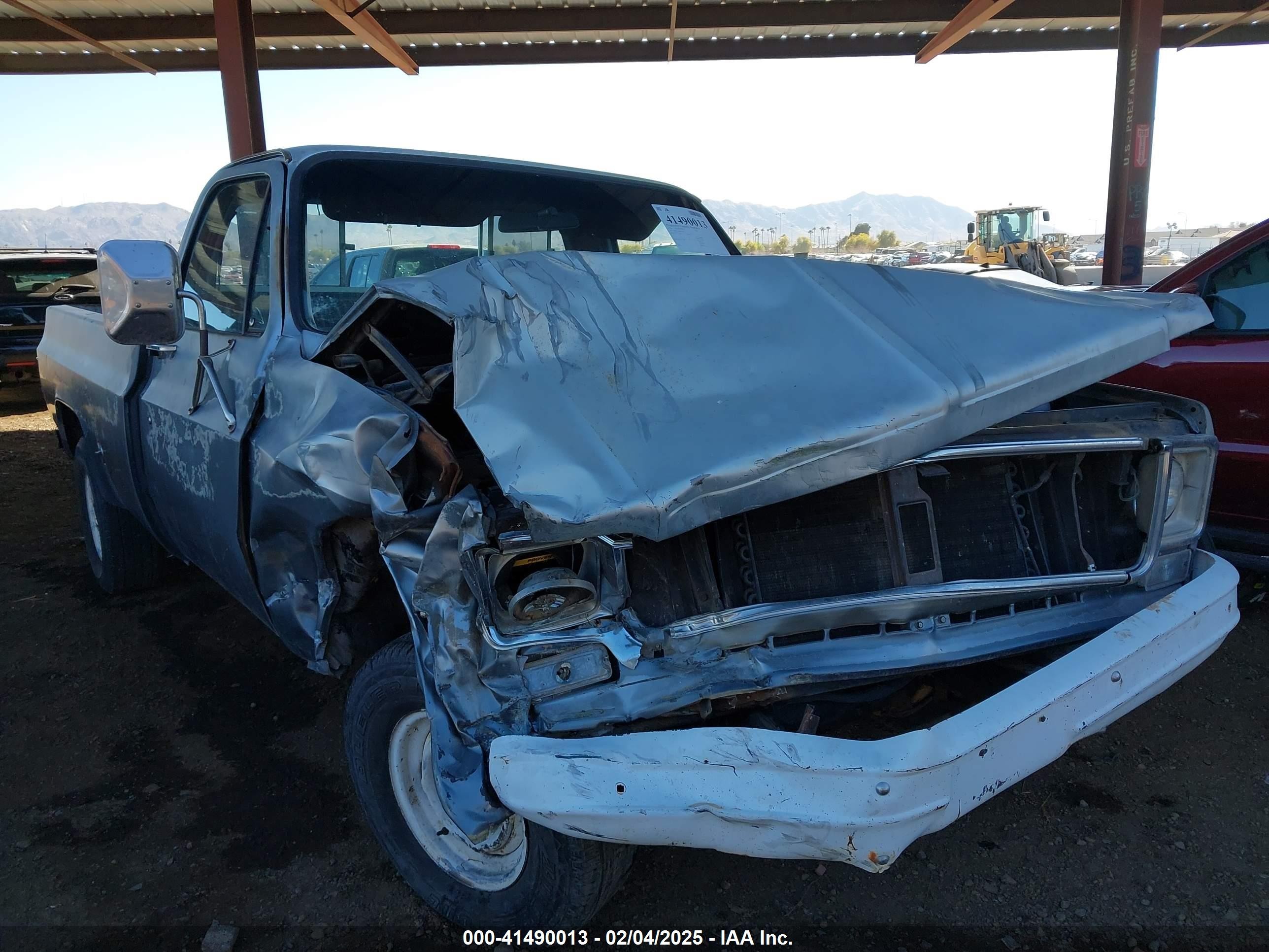 1976 Chevrolet C20 Серый vin: CCL246S213283
