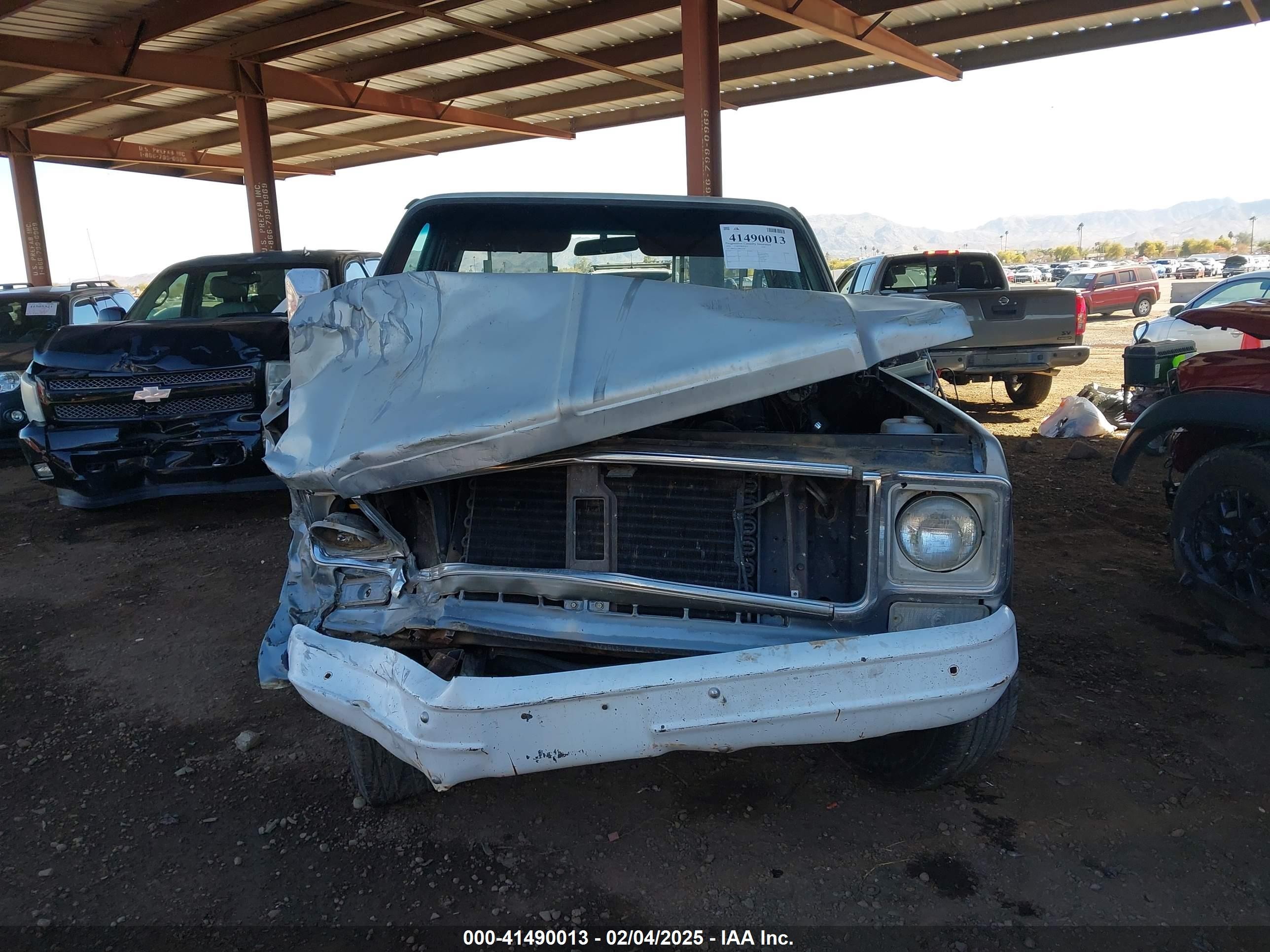 1976 Chevrolet C20   Серый vin: CCL246S213283    