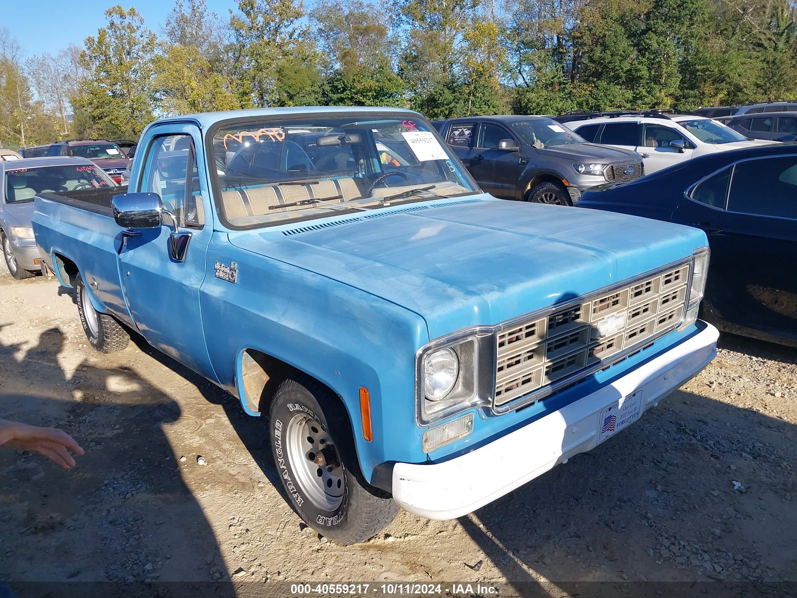 1978 Chevrolet Pickup   Blue vin: CCL448A122488    