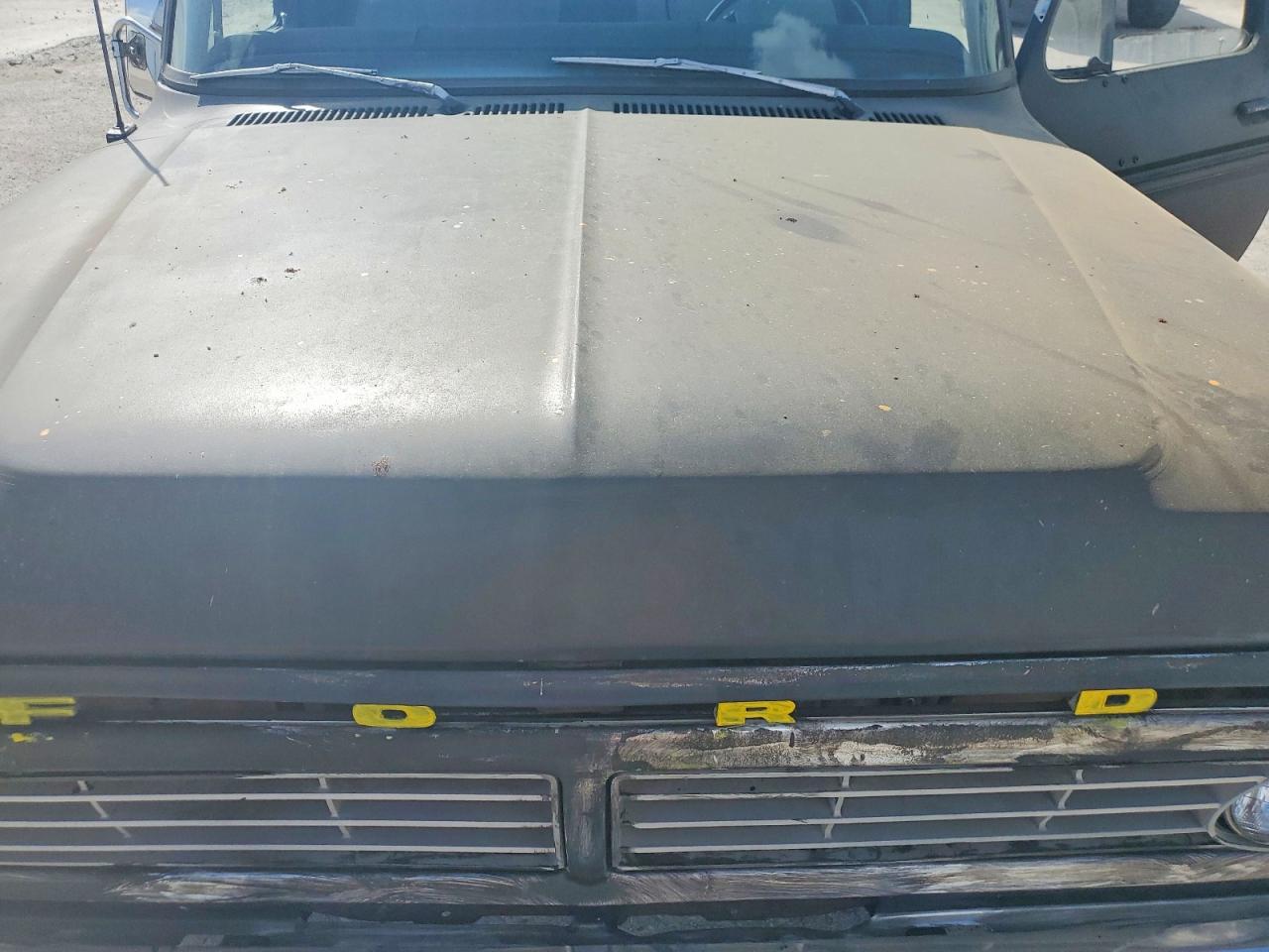 1974 Ford F-100 1/2 Ton Коричневый vin: F10YLT69945