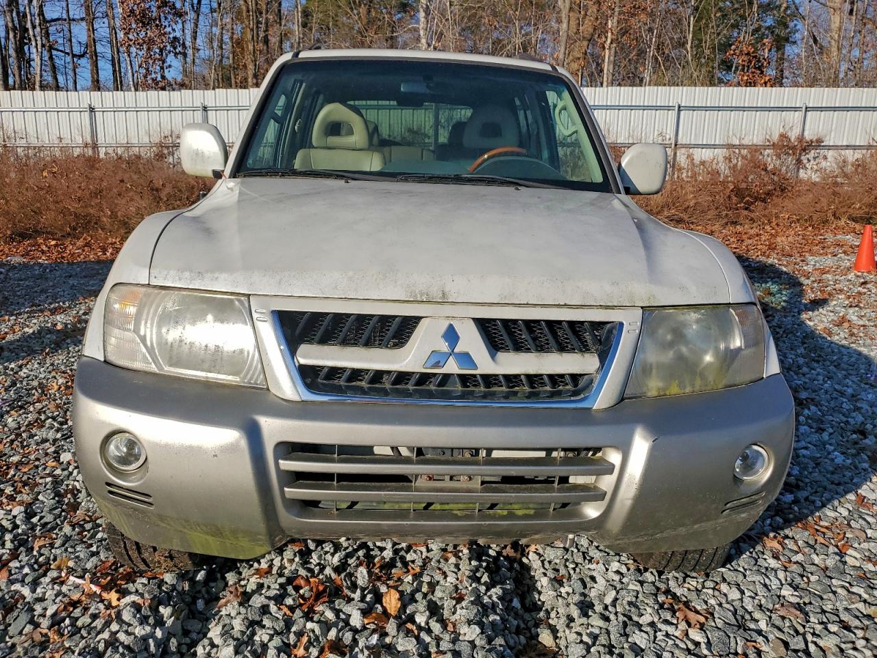 2006 Mitsubishi Montero Limited Бежевый vin: JA4MW51S66J003995