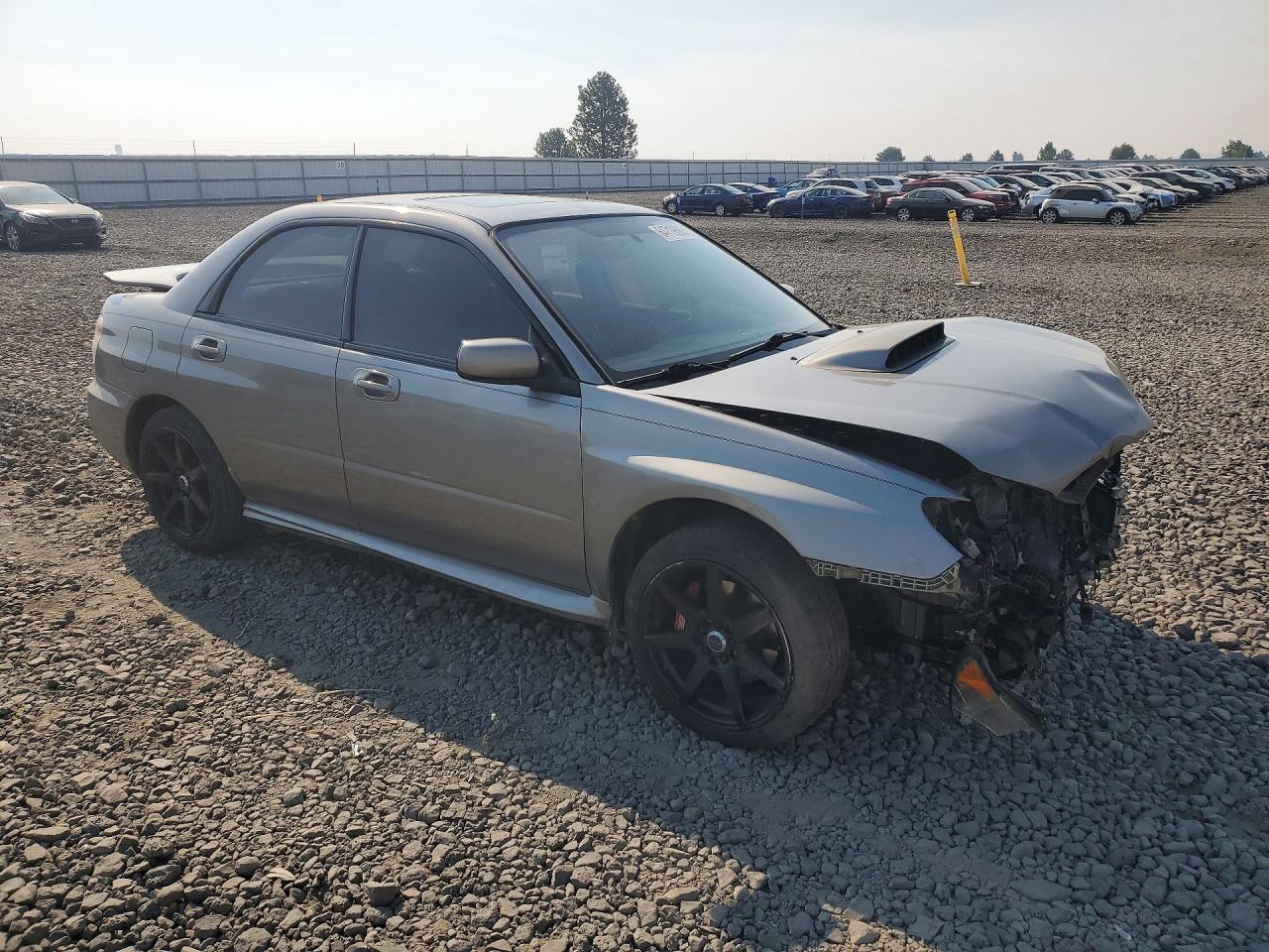 2006 Subaru Impreza Wrx Tan vin: JF1GD79686H503021