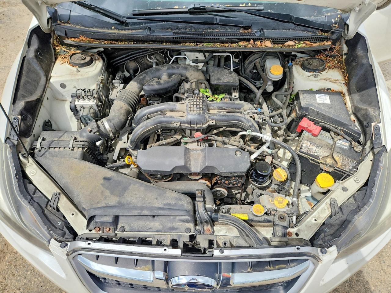 2014 Subaru Impreza White vin: JF1GPAA6XE8298140